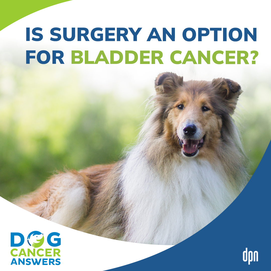 Is Surgery an Option for Bladder Cancer? | Dr. Brooke Britton #187