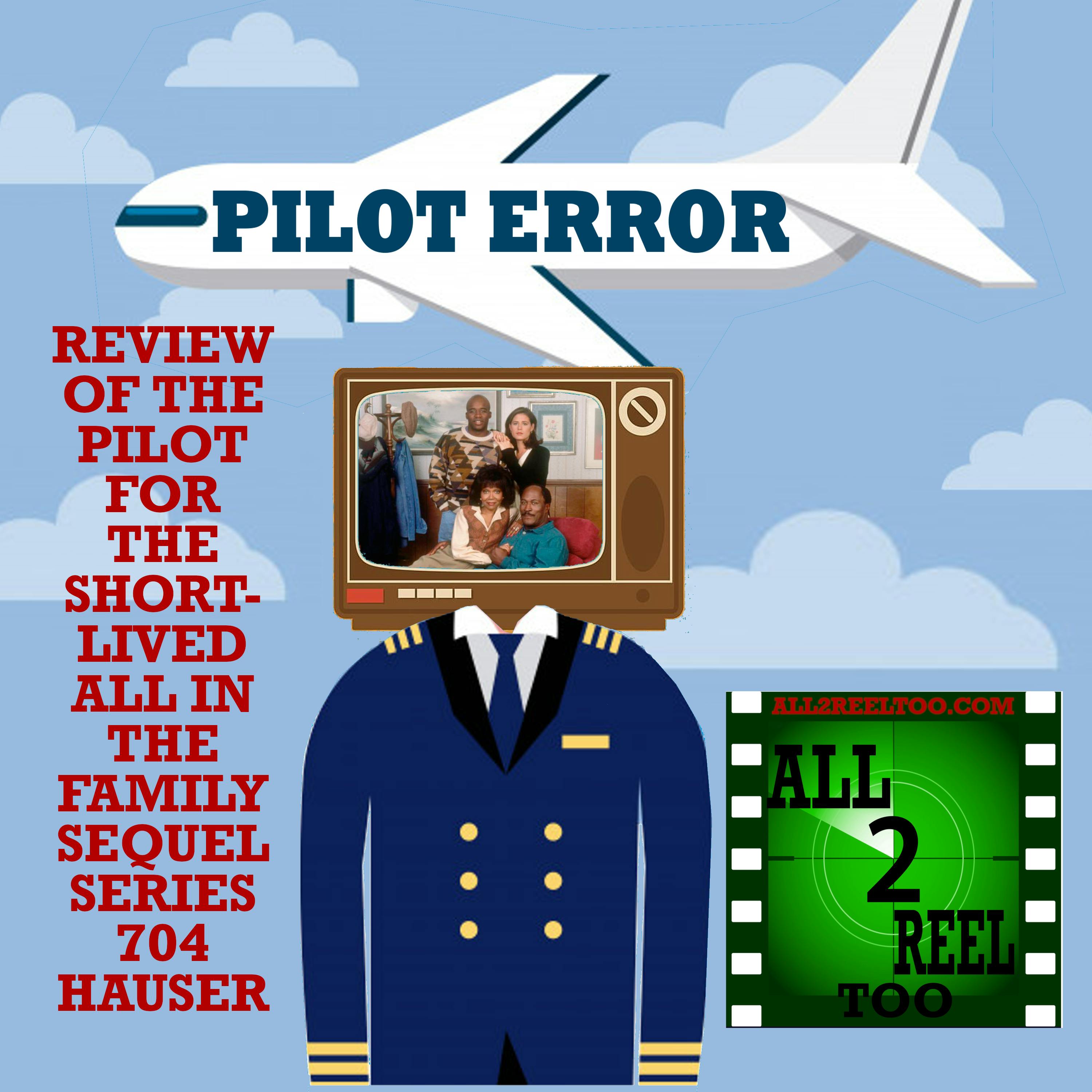 704 Hauser (1994) - PILOT ERROR REVIEW Image
