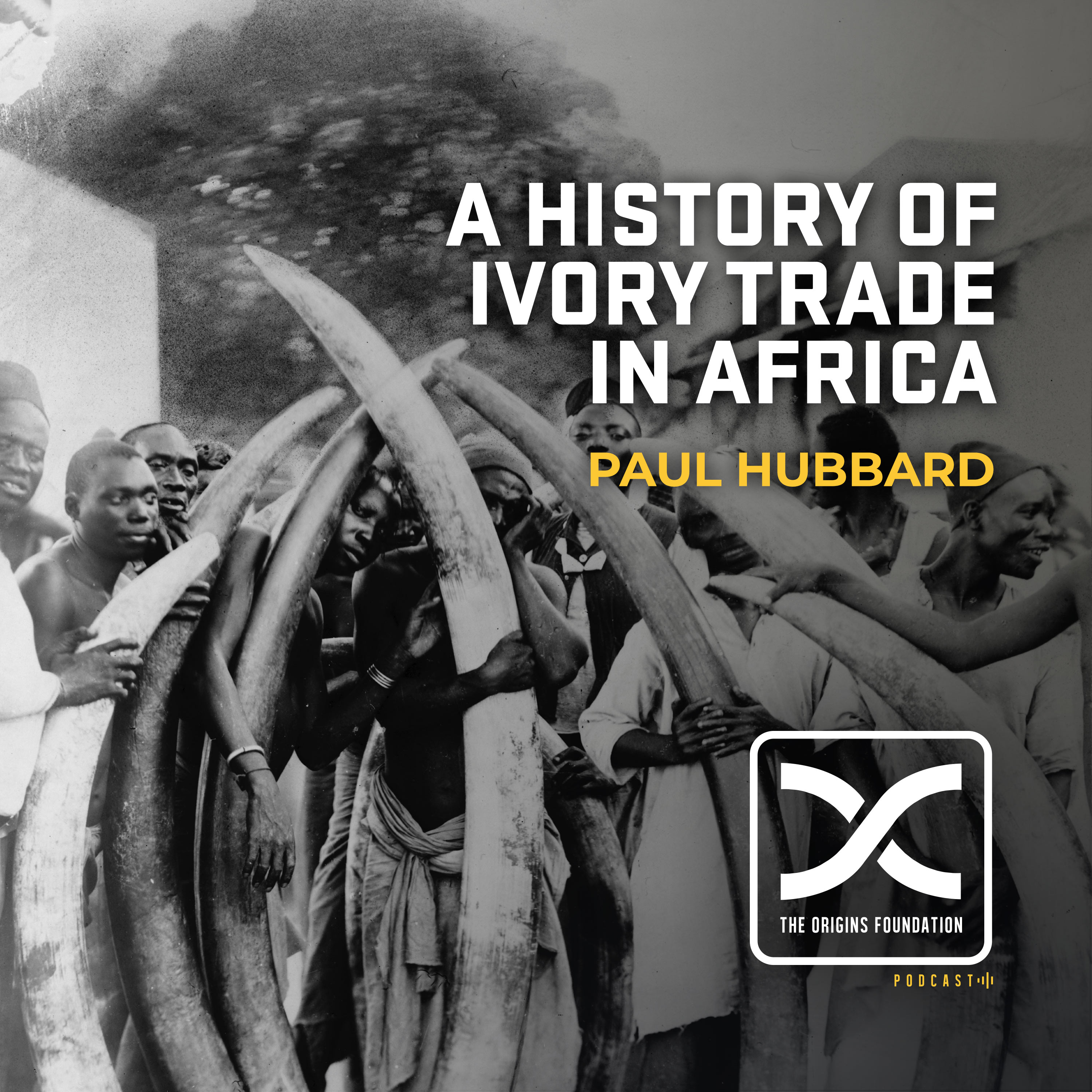 Episode 591 - Paul Hubbard || A History Of Ivory Trade In Africa