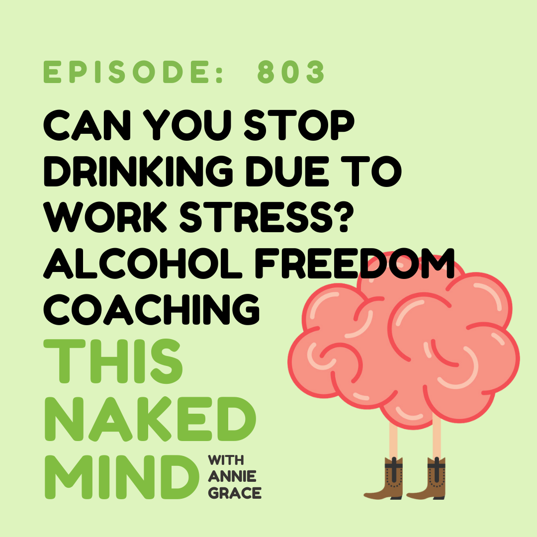Can You Stop Drinking Due to Work Stress? | Alcohol Freedom Coaching| E803