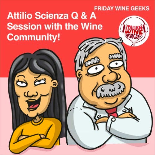 Ep. 837 Ciro Pirone Question | Everybody Needs A Bit Of Scienza