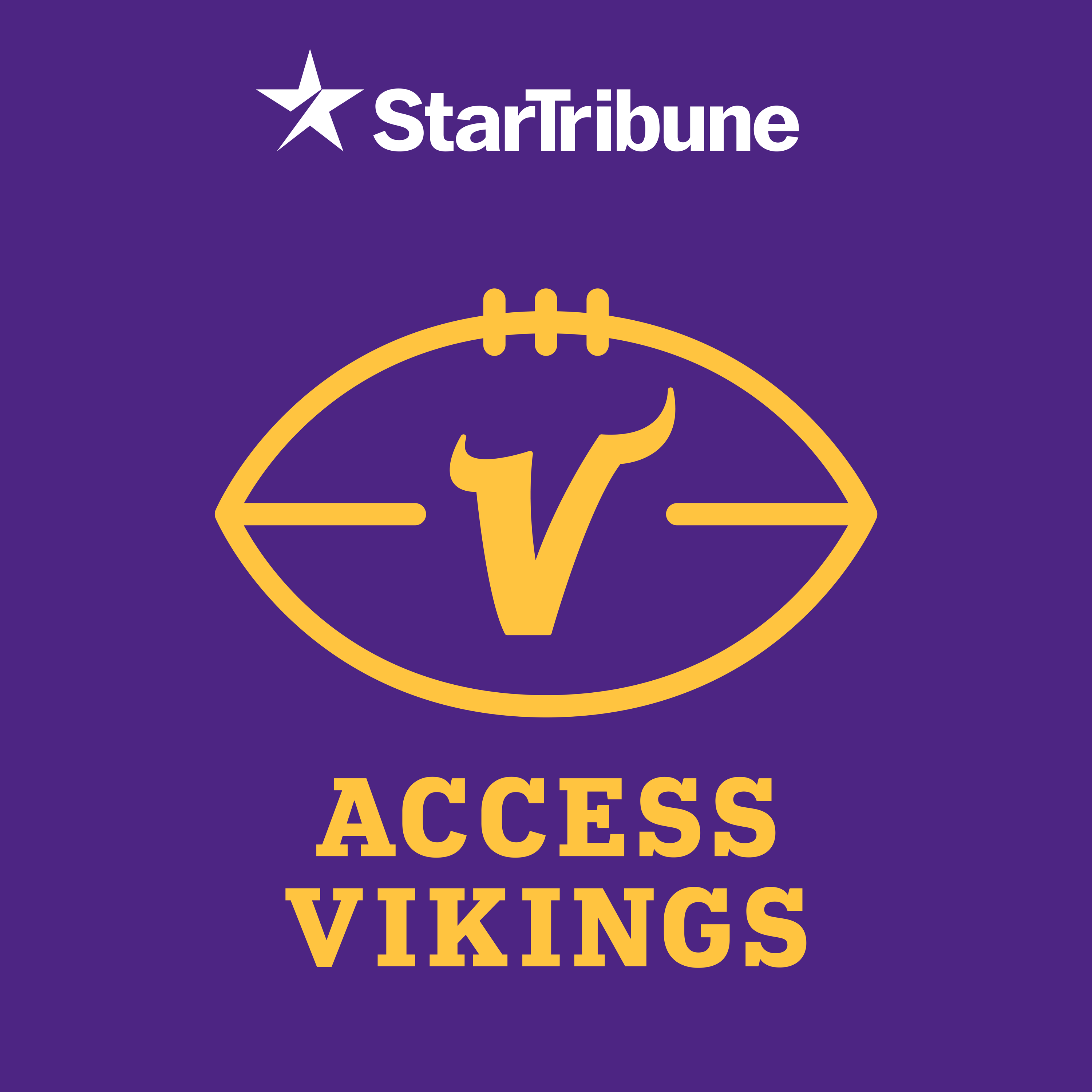 access-vikings-sonnet