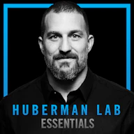Essentials: Tools for Hormone Optimization in Males | Dr. Kyle Gillett