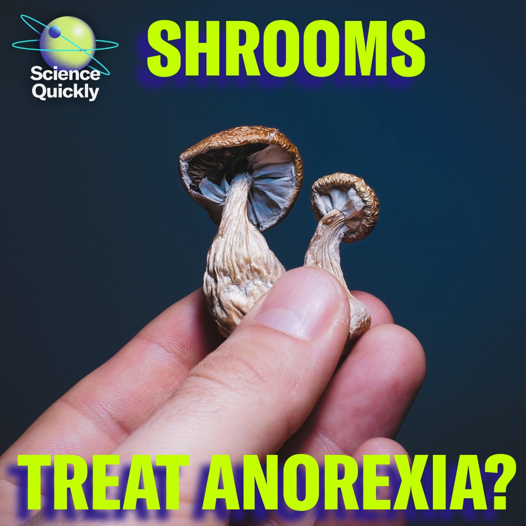 Can magic mushrooms help treat anorexia?
