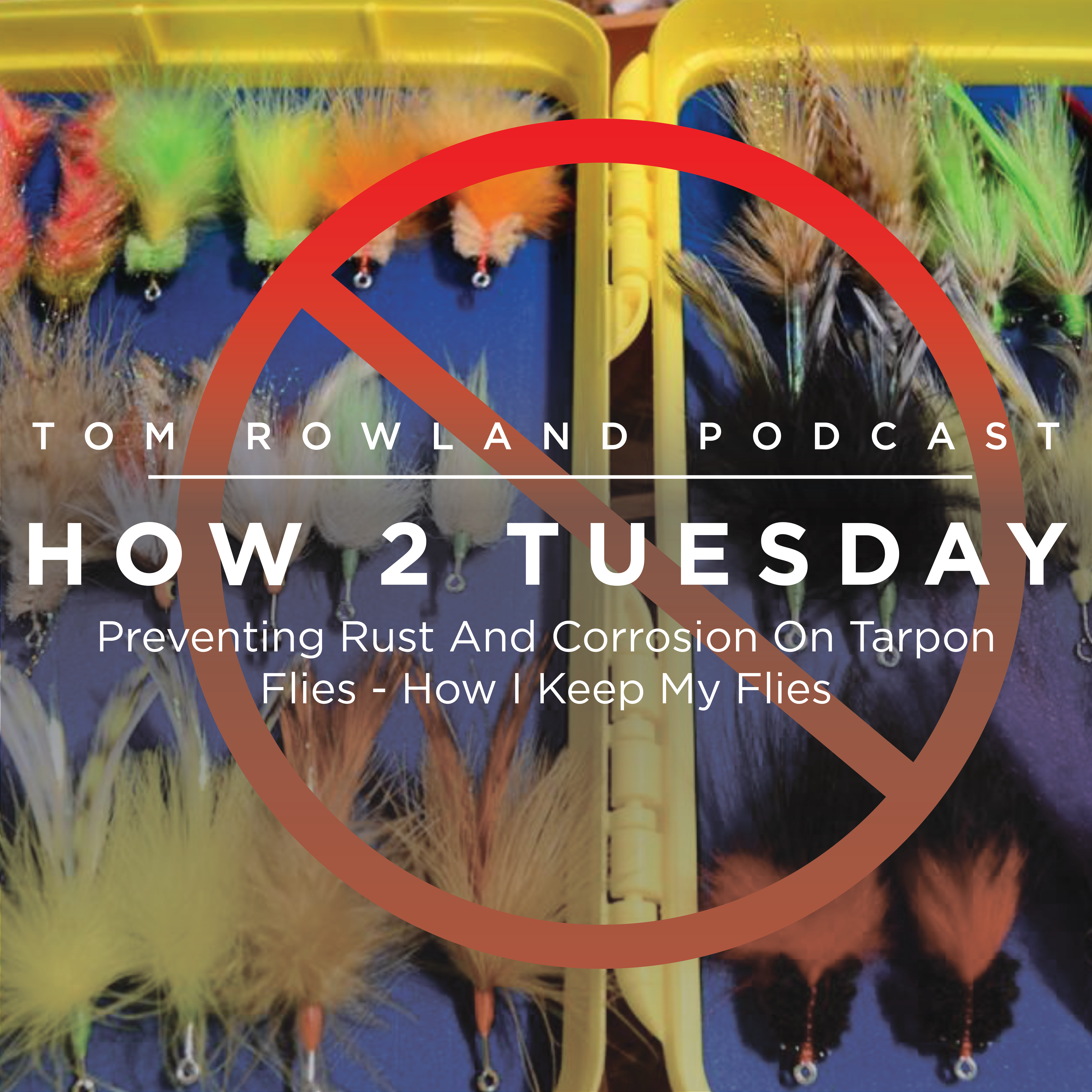 HOW 2 TUESDAY #51 - Preventing Rust And Corrosion On Tarpon Flies - How I Keep My Flies