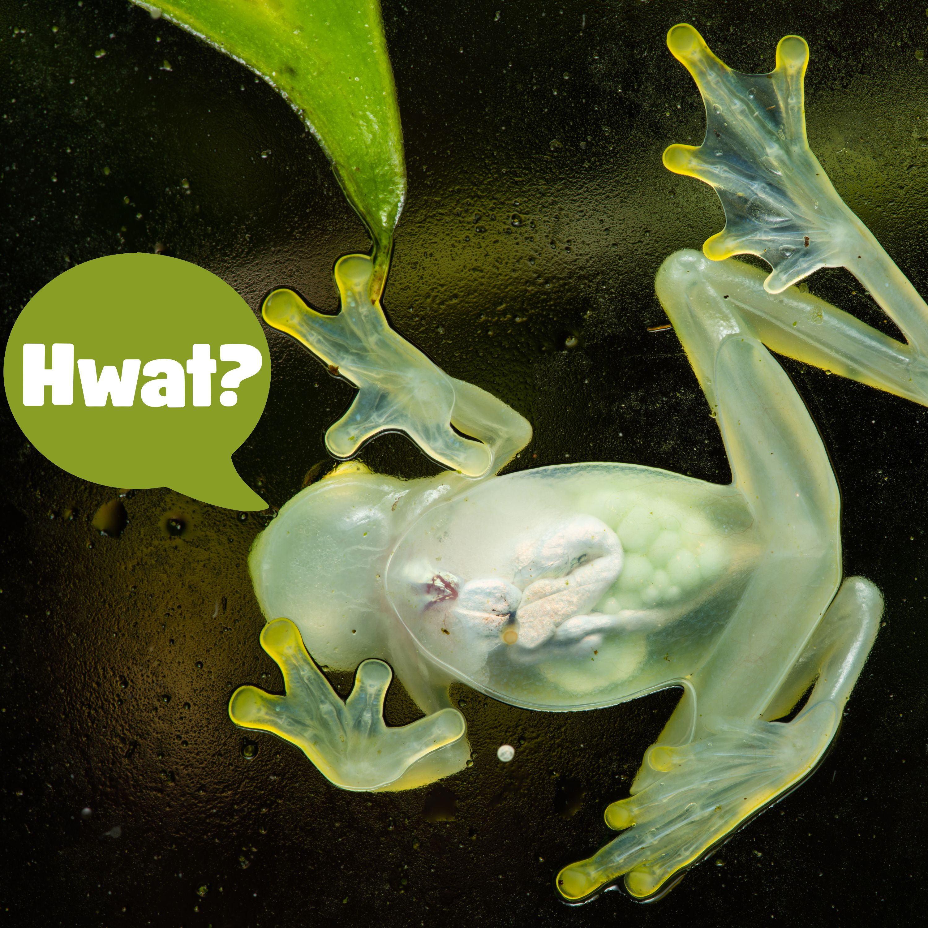 28: (Spooky Voice) Welcome to Denver!