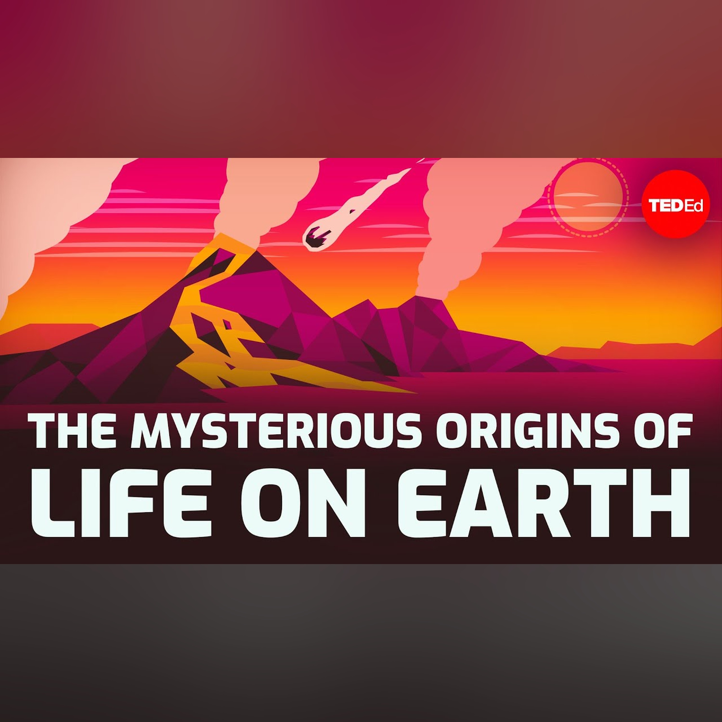 The mysterious origins of life on Earth - Luka Seamus Wright episode artwork