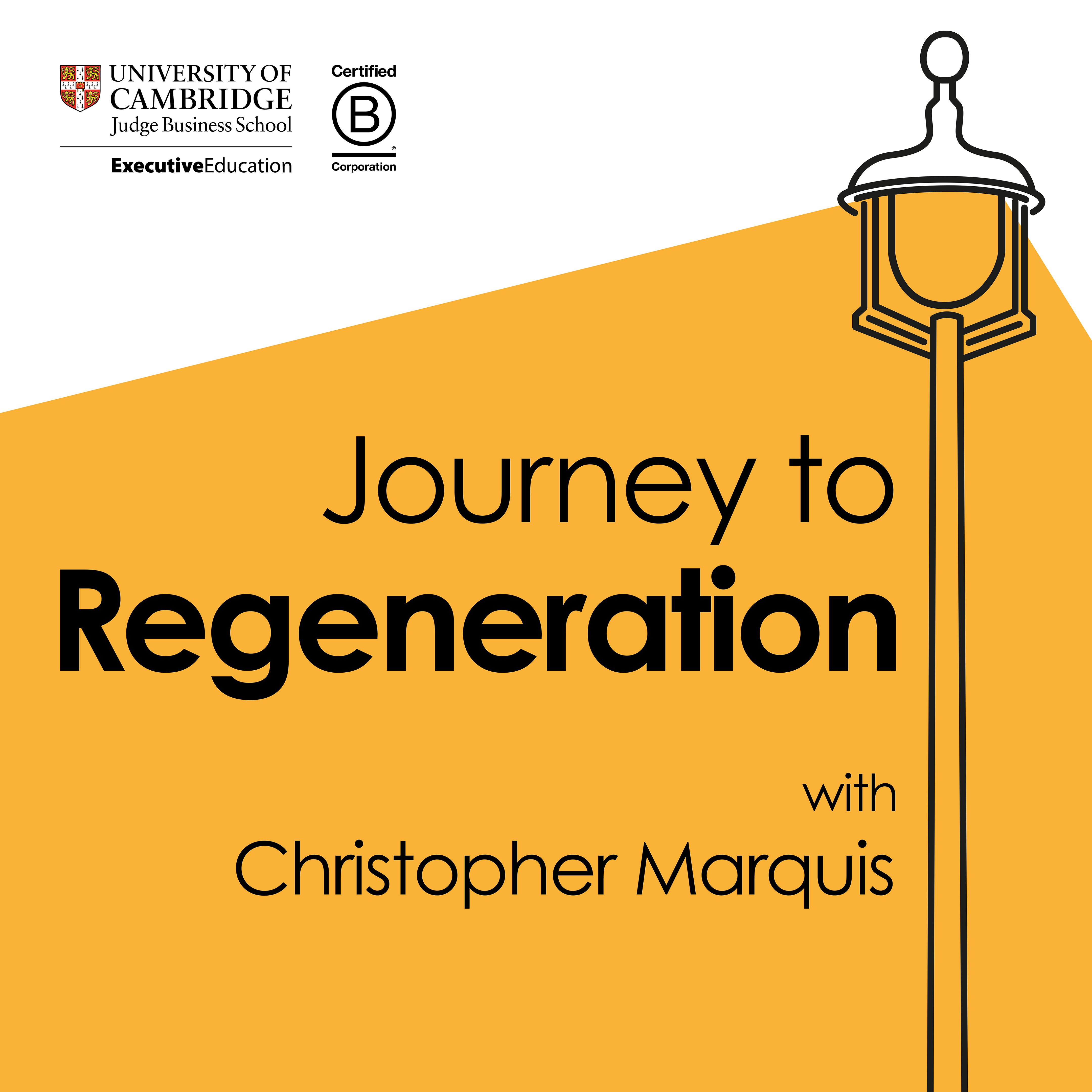 Journey To Regeneration