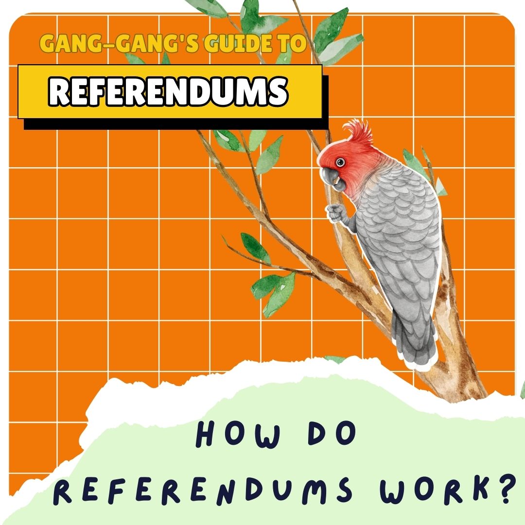 Gang-Gang's Guide to Referendums - Episode Two