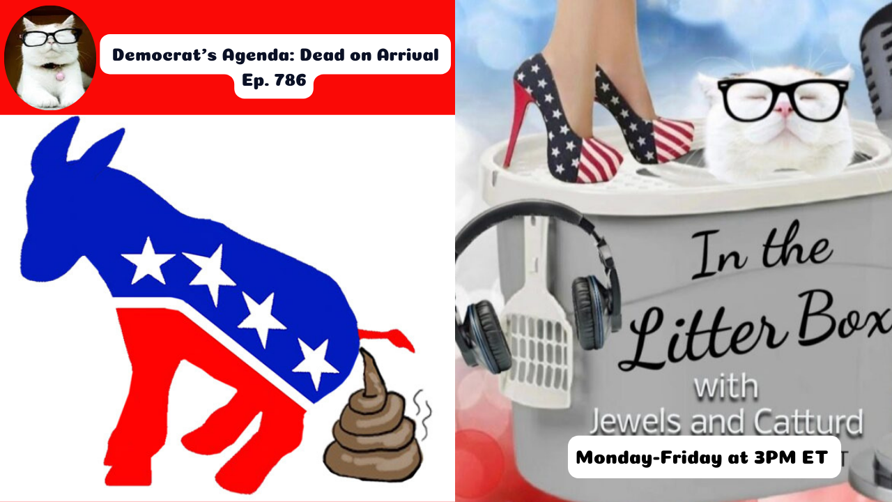 Democrat's Agenda: Dead On Arrival | In the Litter Box w/ Jewels & Catturd – Ep. 786 – 4/22/2025