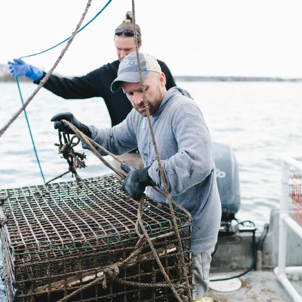 3-D Ocean Farming: Making a Living on a Living Planet episode artwork