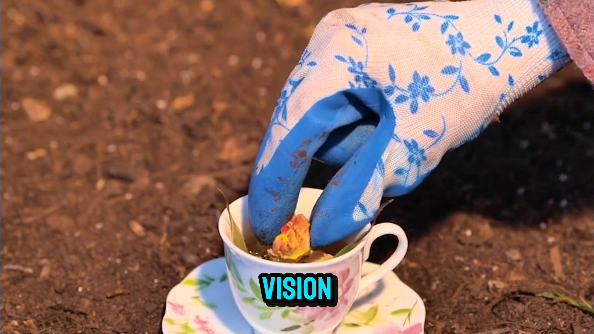 Creative Backyard DIY Hacks 🌱 Transform Old Jeans into Garden Gold!