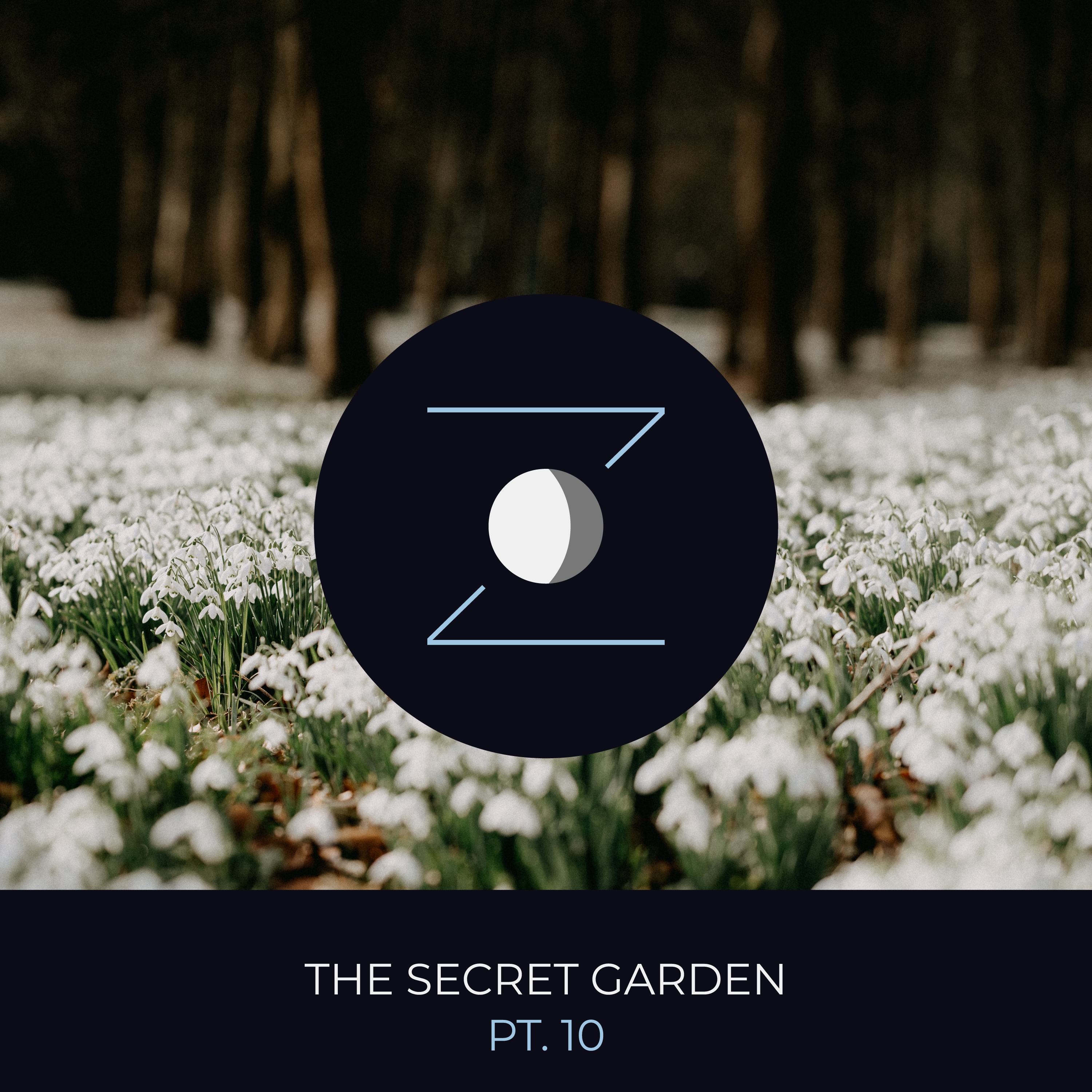 The Secret Garden pt. 10 episode artwork