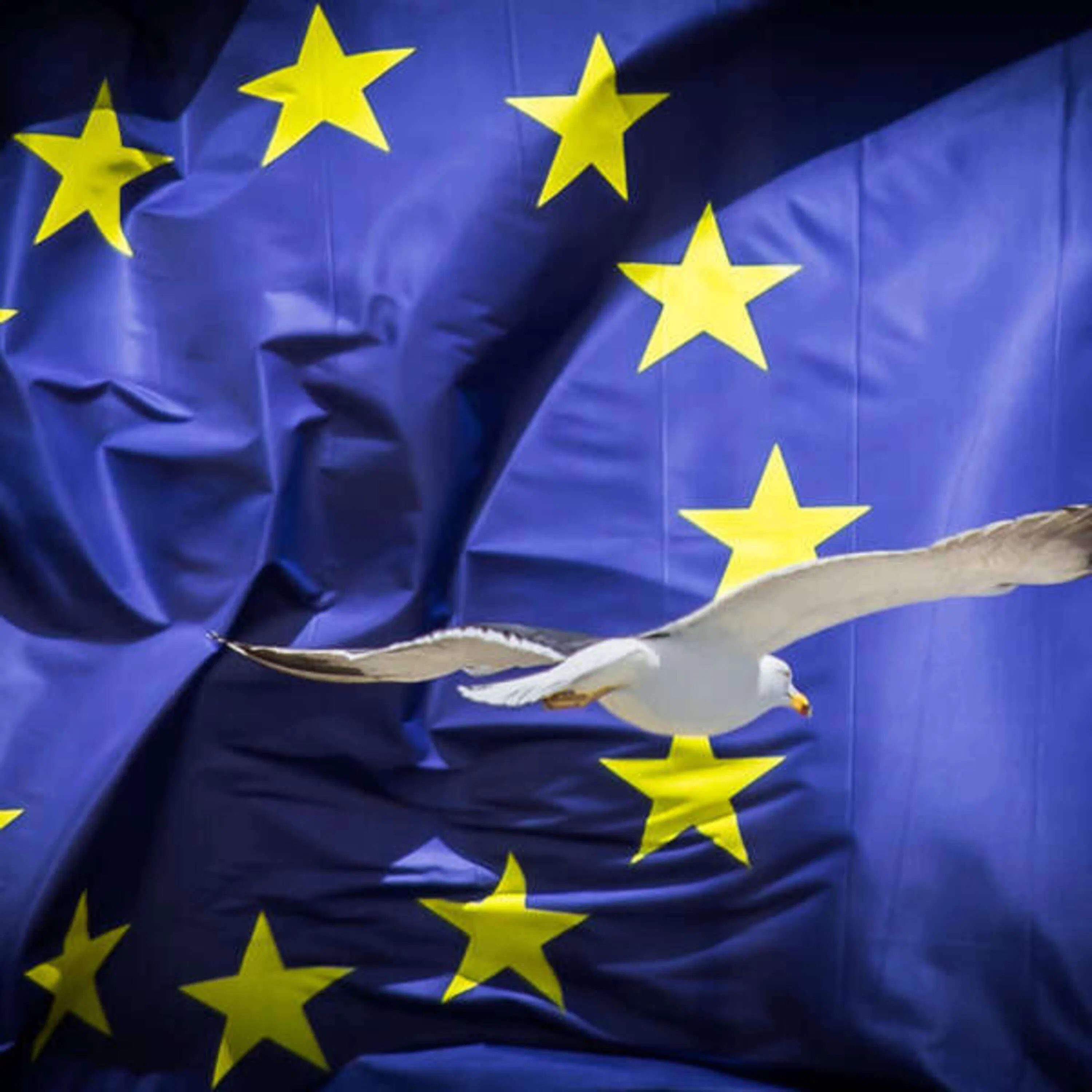 Le Bordel Du Brexit