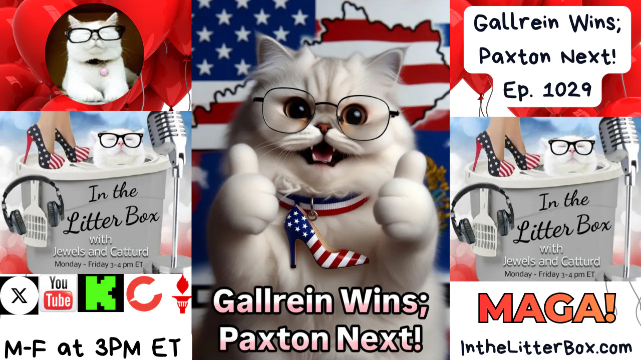 Gallrein Wins; Paxton Next! | In the Litter Box w/ Jewels Jones & Catturd – Ep. 1029 5/20/2026 episode artwork