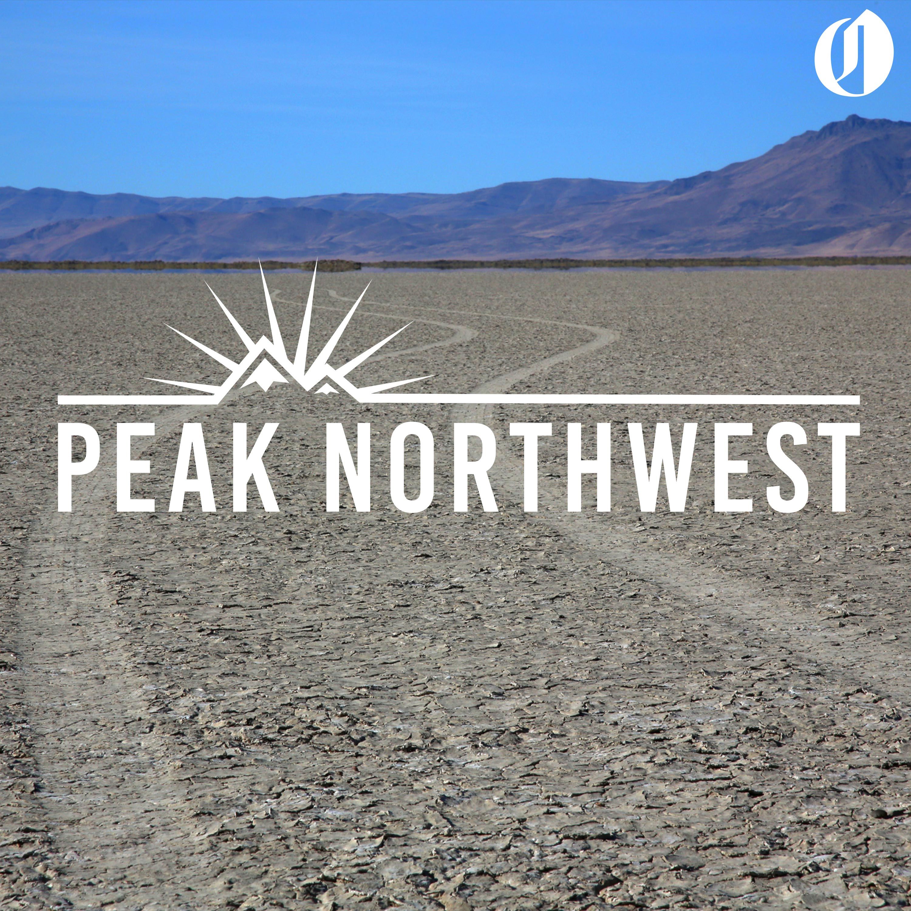 Adventures in the Alvord Desert