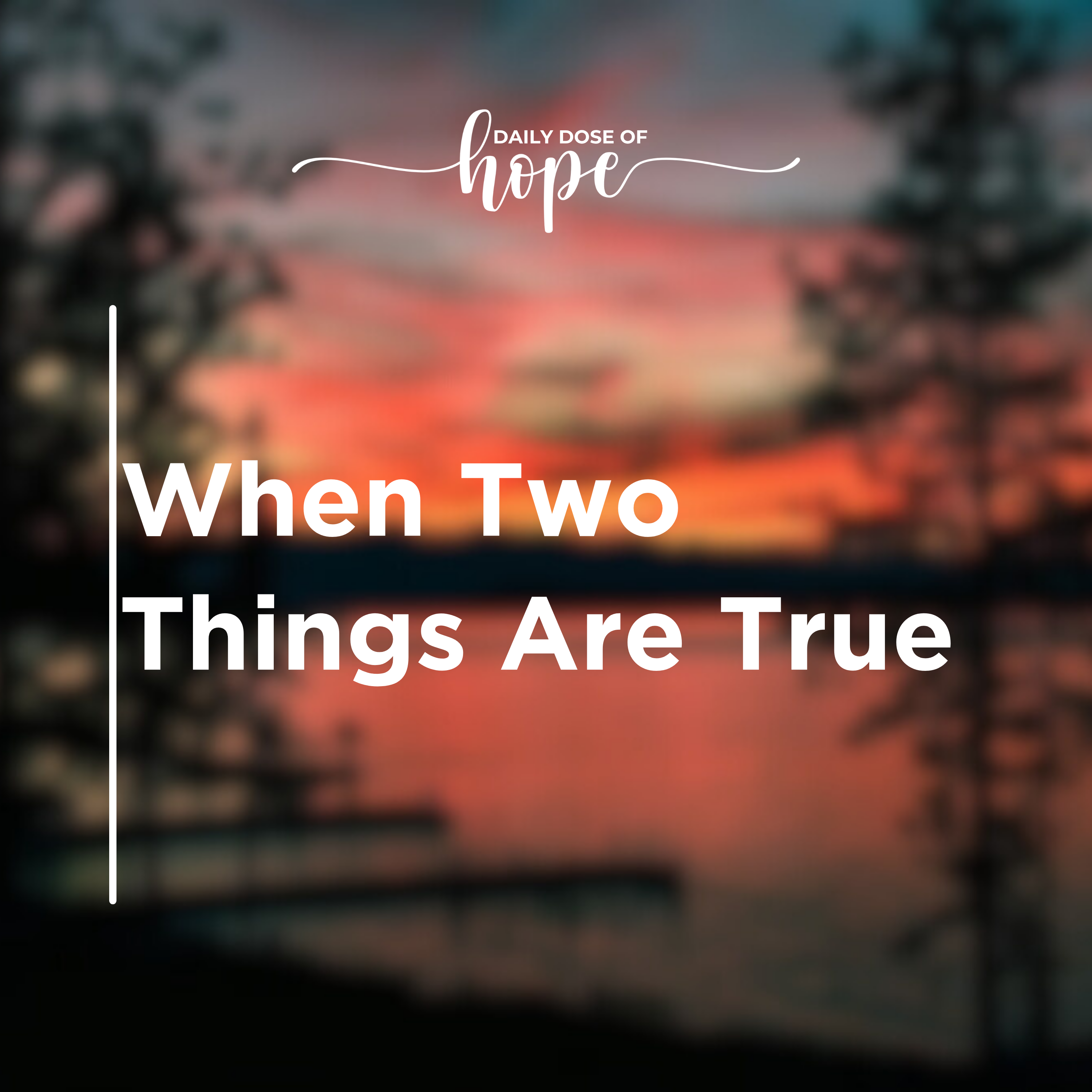 When Two Things Are True EP 356 episode artwork