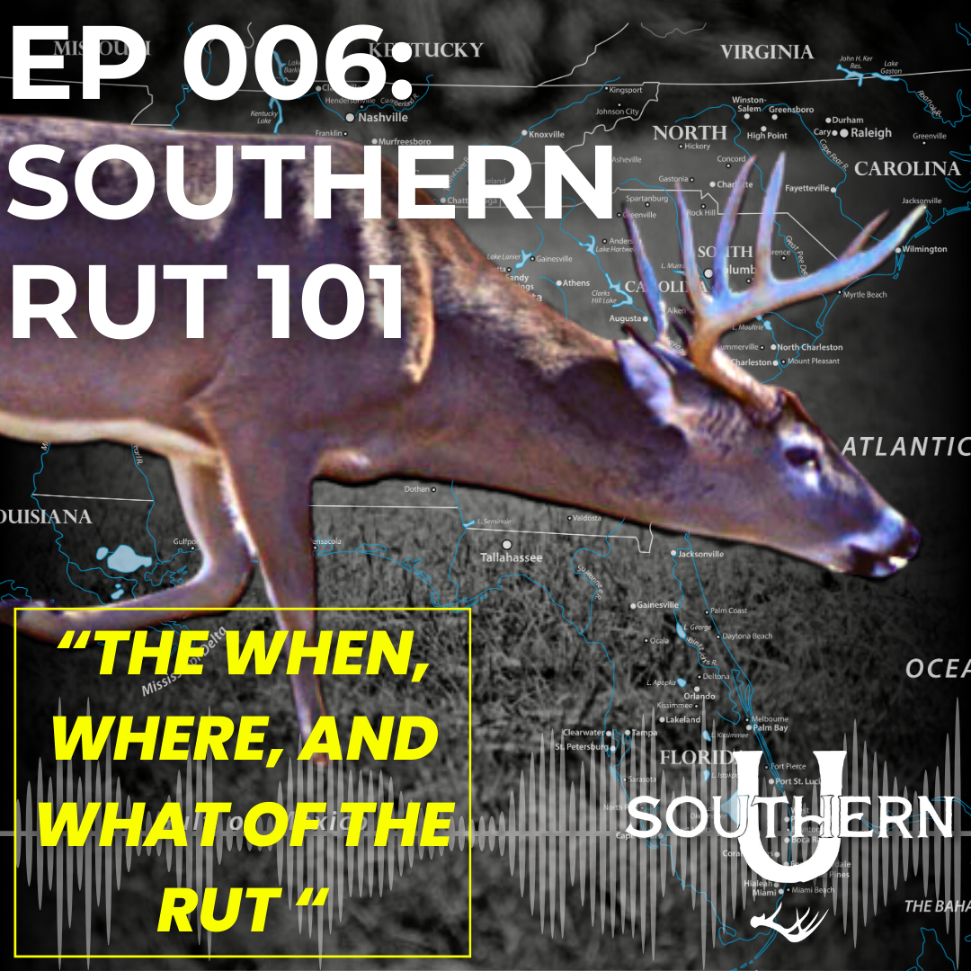 Southern Rut 101 episode artwork