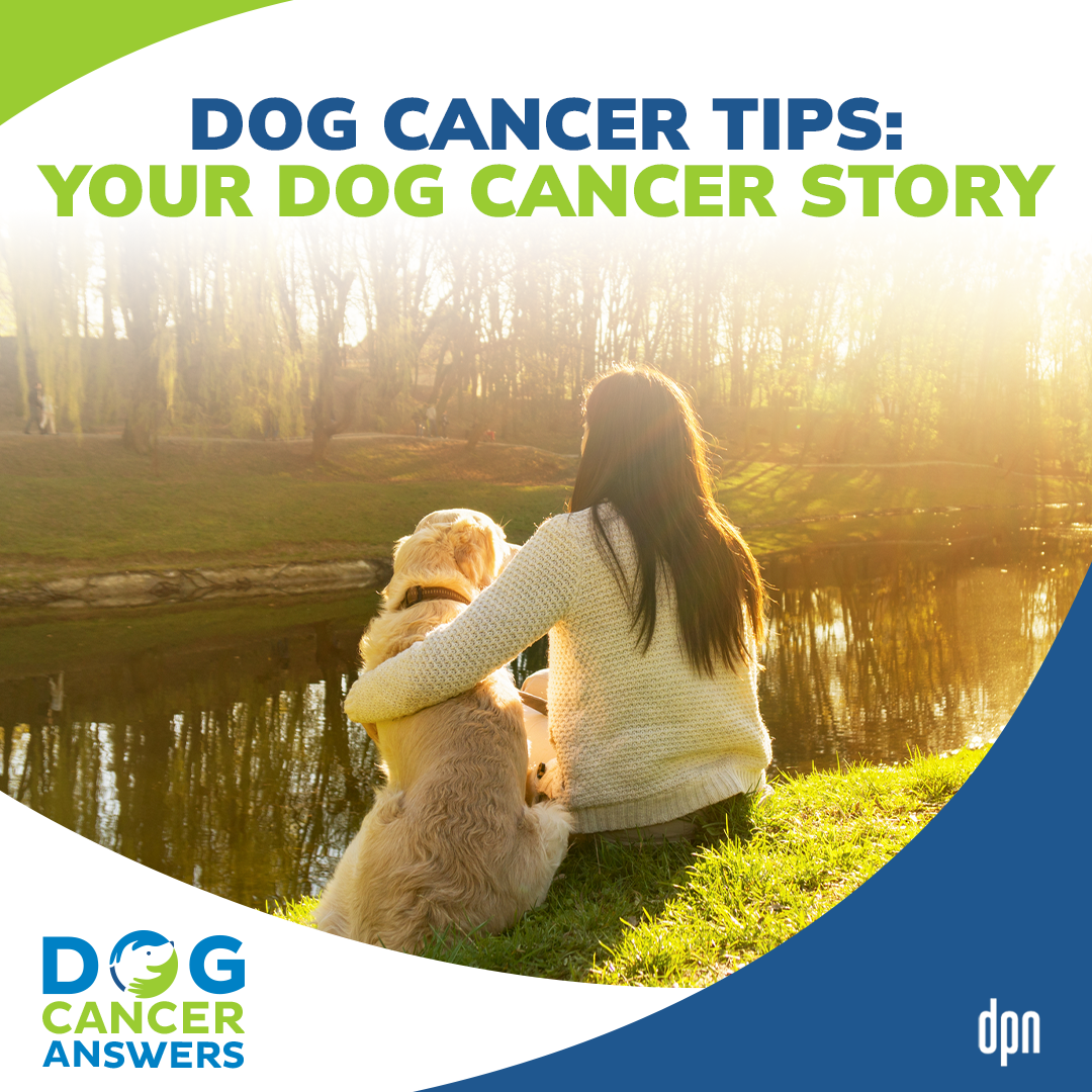 Your Dog Cancer Story | Molly Jacobson #245