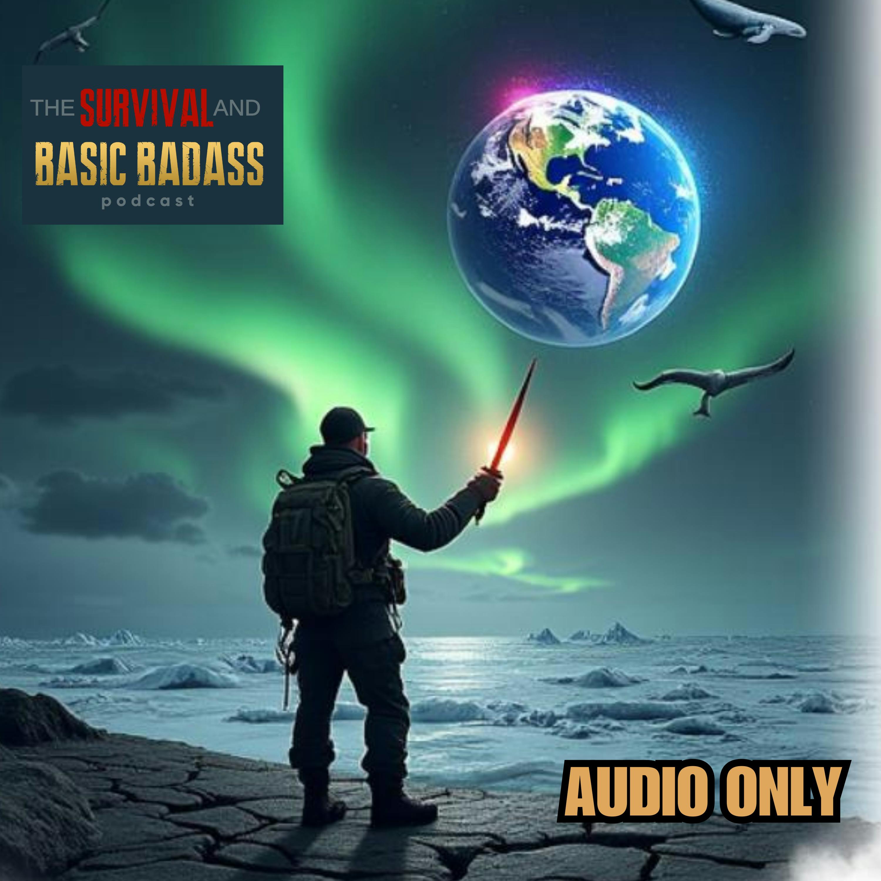 What If Earth's Magnetic Poles Reversed? What If Earth's Magnetic Poles Reversed?