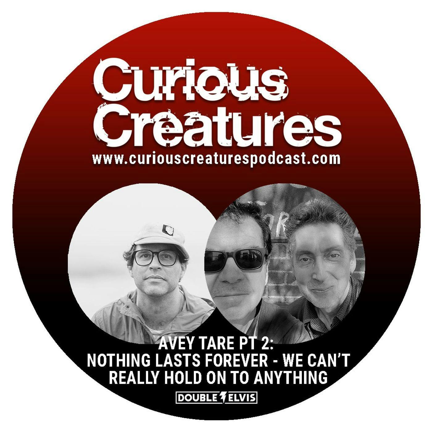 Avey Tare Pt. 2: Nothing Lasts Forever - We Can’t Really Hold On To Anything Avey Tare Pt. 2: Nothing Lasts Forever - We Can’t Really Hold On To Anything