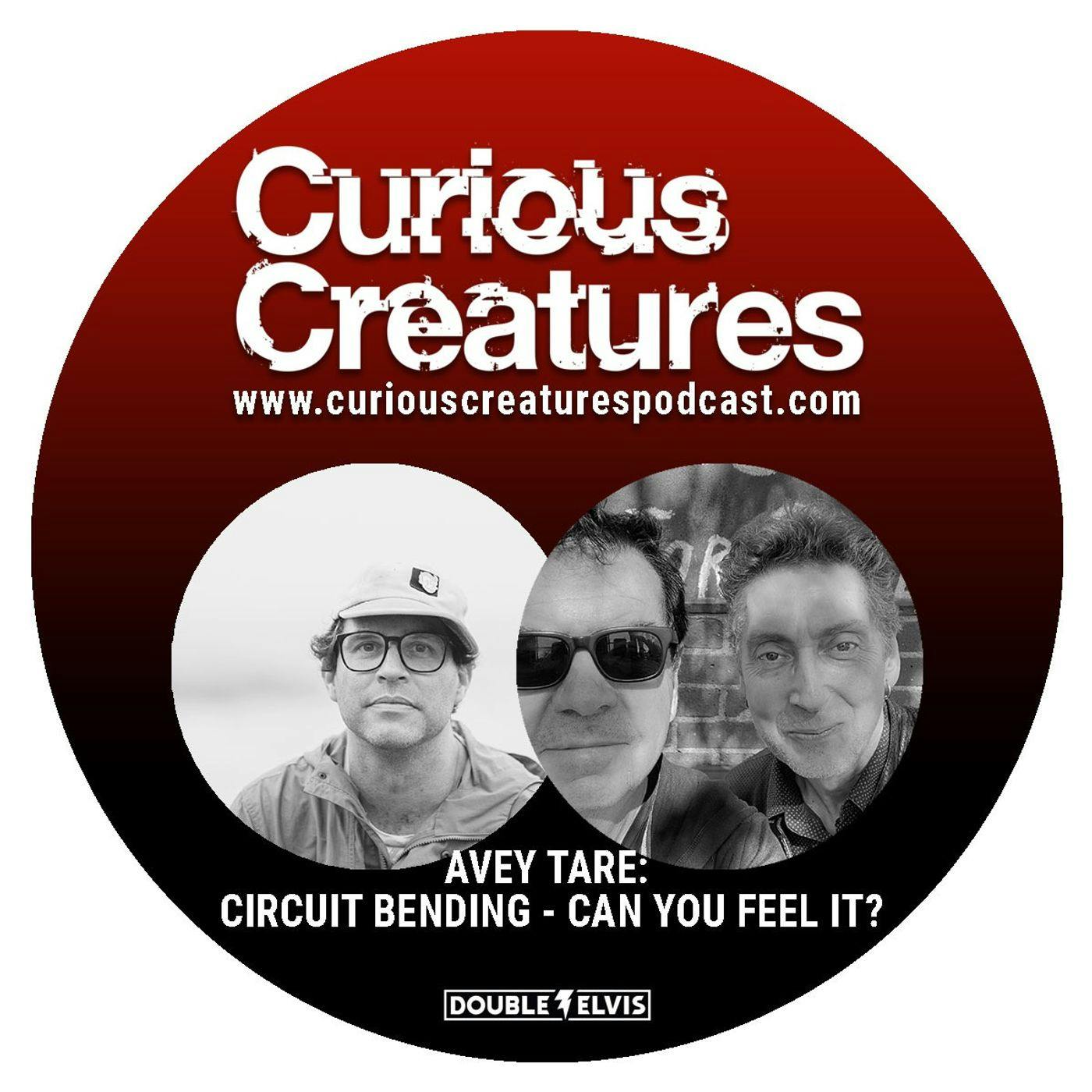 Avey Tare Pt. 1: Circuit Bending- Can you Feel it? Avey Tare Pt. 1: Circuit Bending- Can you Feel it?