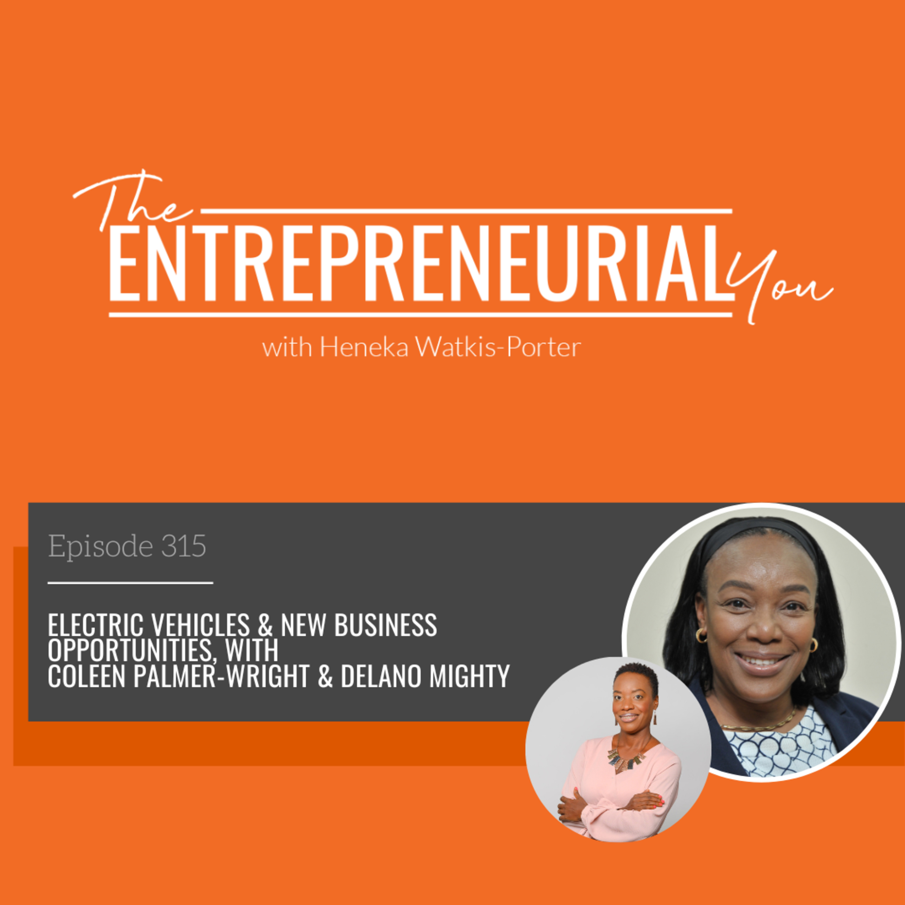 Electric Vehicles & New Business Opportunities episode artwork