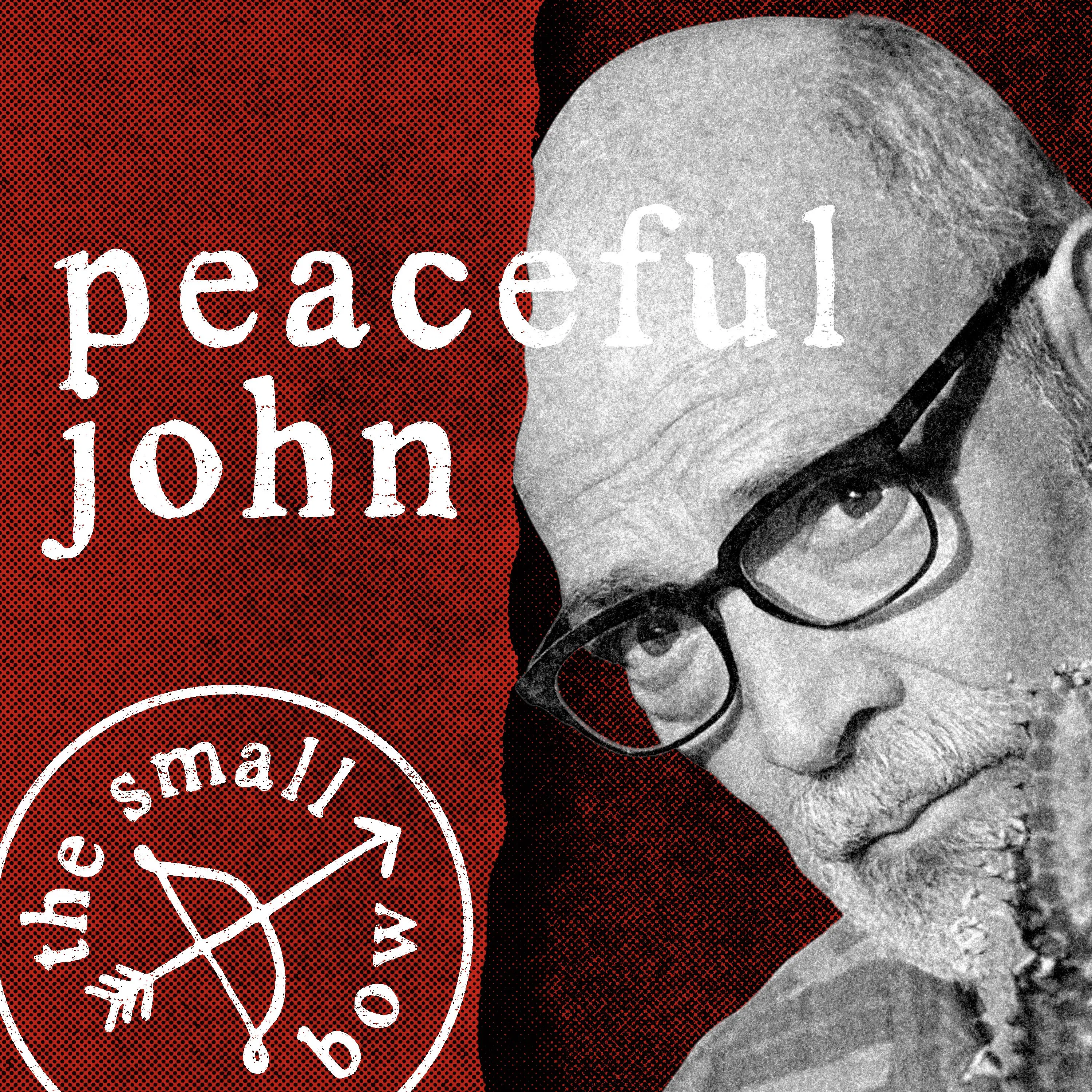 We Fear Connection More Than Loss: Audience Q&A with Peaceful John episode artwork