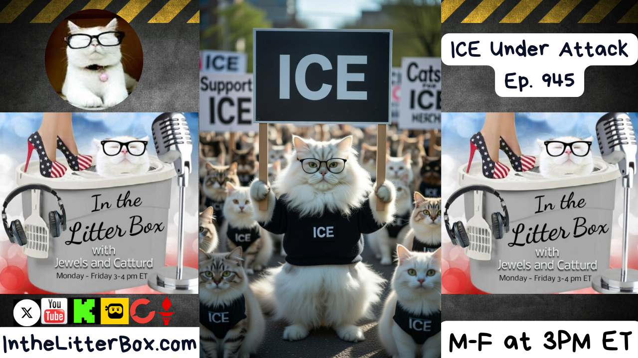 ICE Under Attack | In the Litter Box w/ Jewels & Catturd – Ep. 945– 1/8/2026