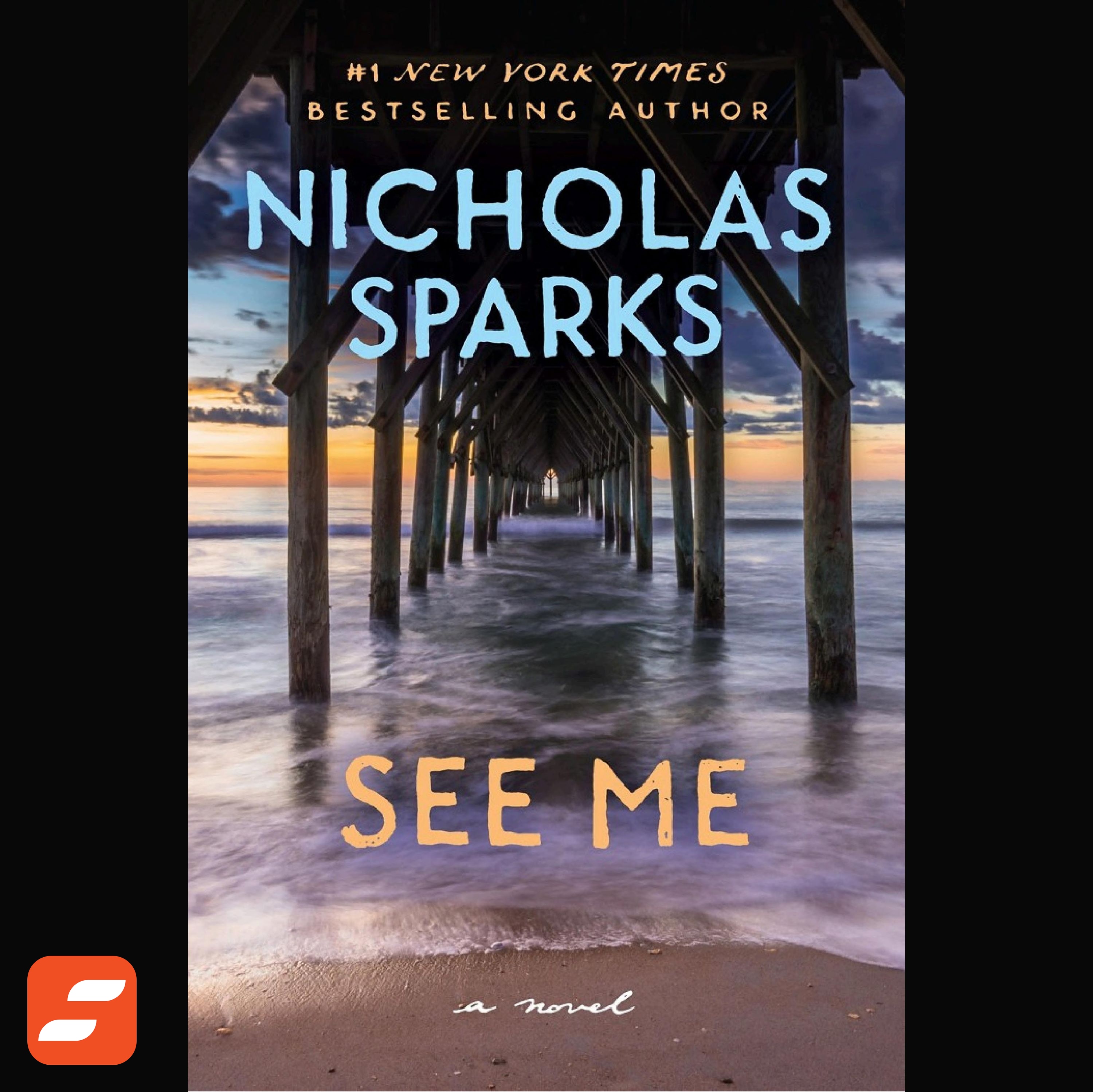 See Me Summary | Nicholas Sparks