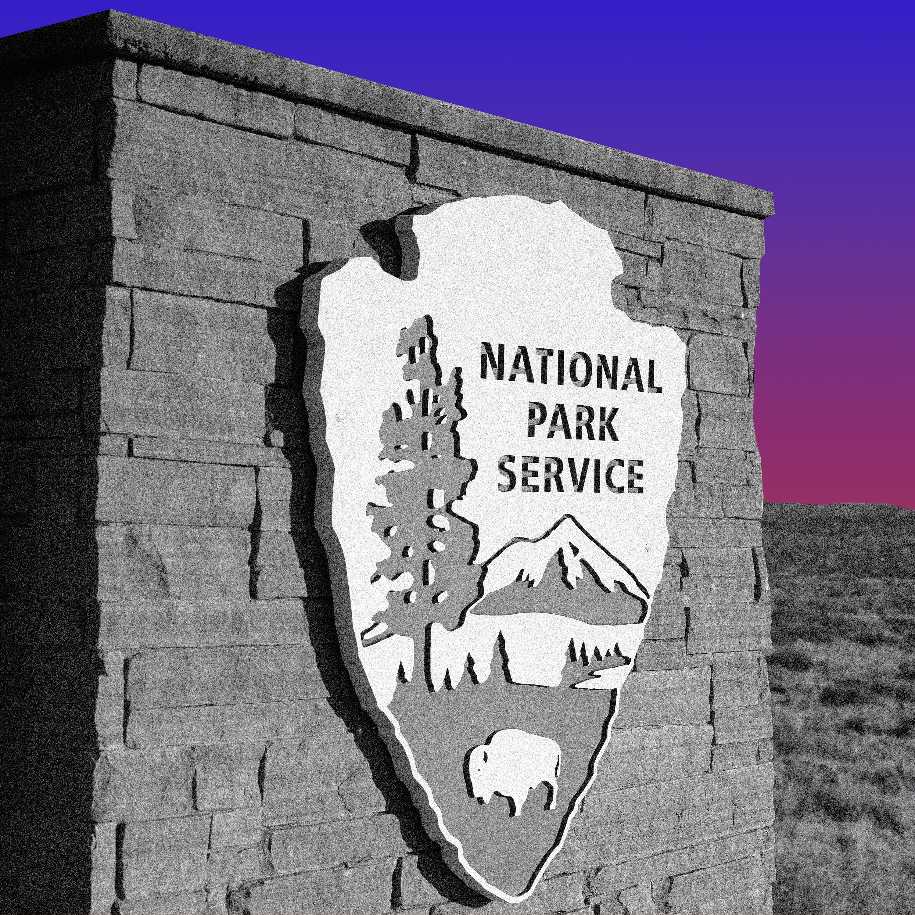 What Next | Gutting Our National Parks