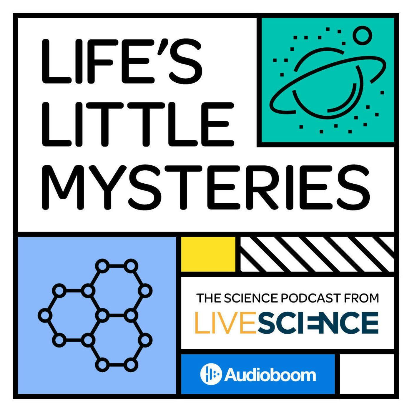 Introducing Life’s Little Mysteries