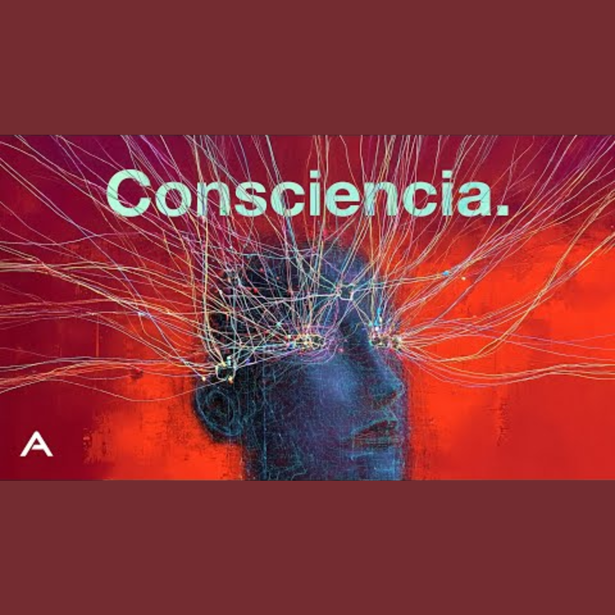 Todo lo que NO sabes sobre la CONSCIENCIA