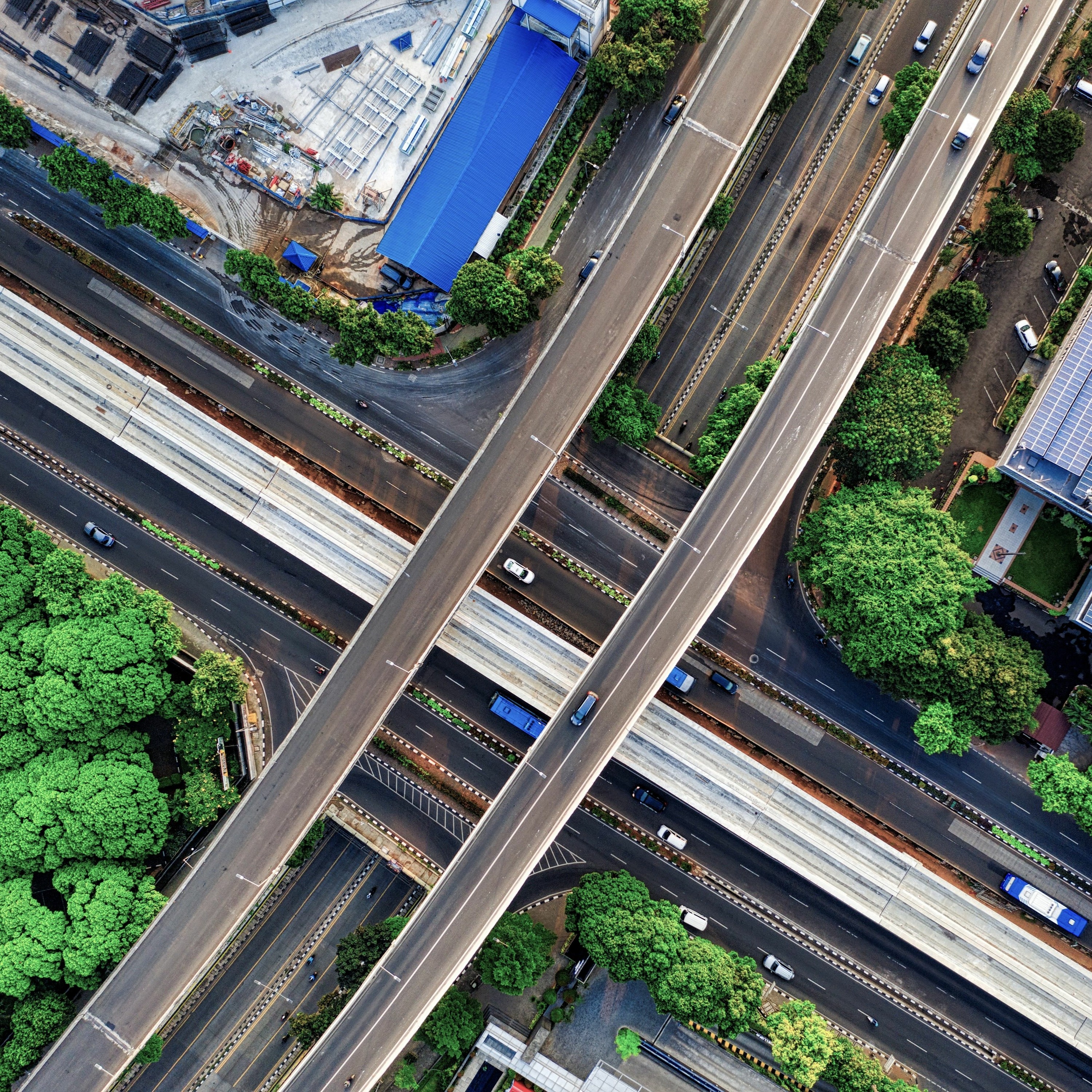 Wild Cities, Smart Cities: Building a Sustainable Future through Urban Governance - Dr Sophie Webber episode artwork