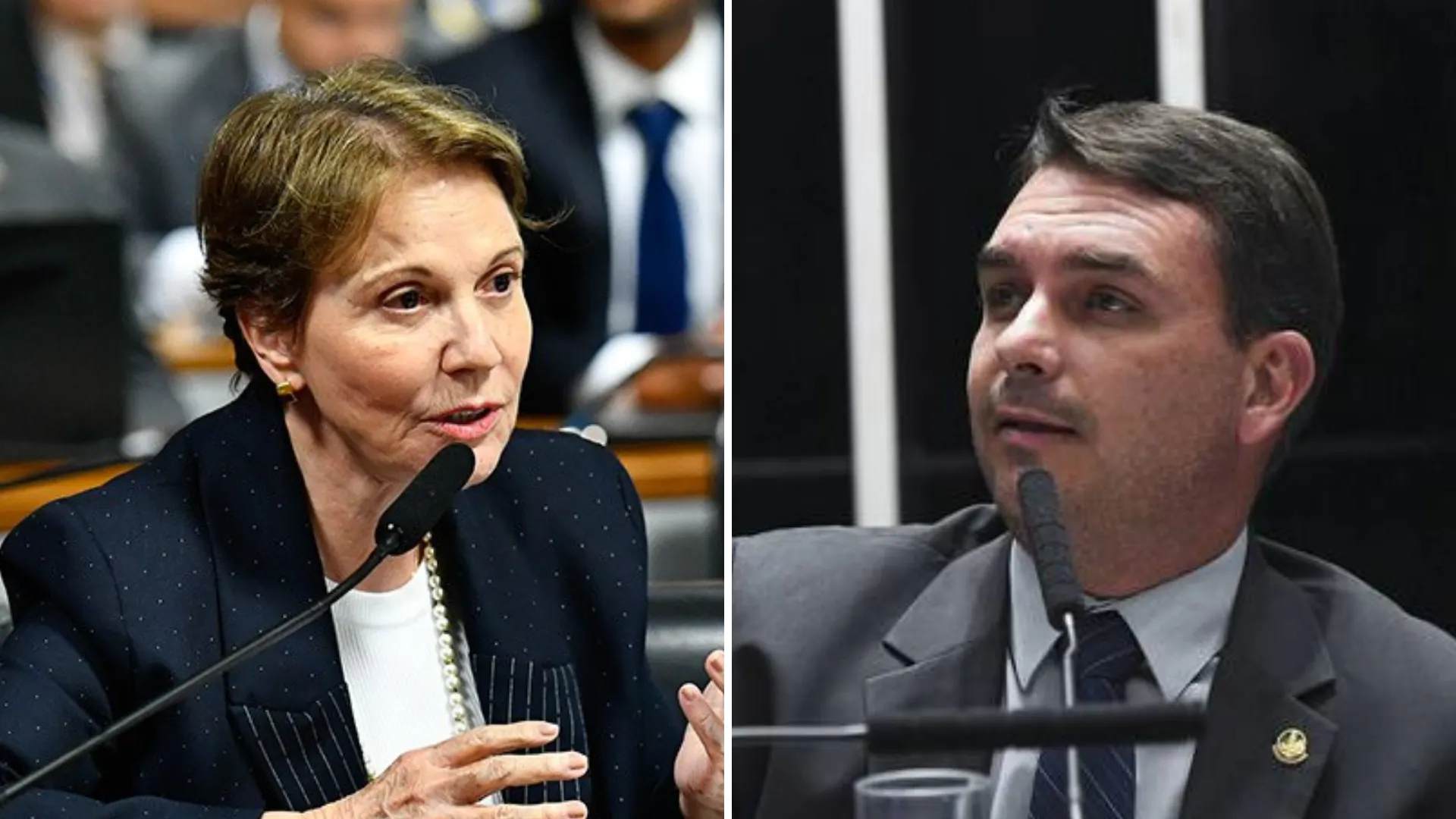 Flávio Bolsonaro mira agro e eleitorado feminino ao tentar Tereza Cristina como vice: 'sonho de consumo' Flávio Bolsonaro mira agro e eleitorado feminino ao tentar Tereza Cristina como vice: 'sonho de consumo'