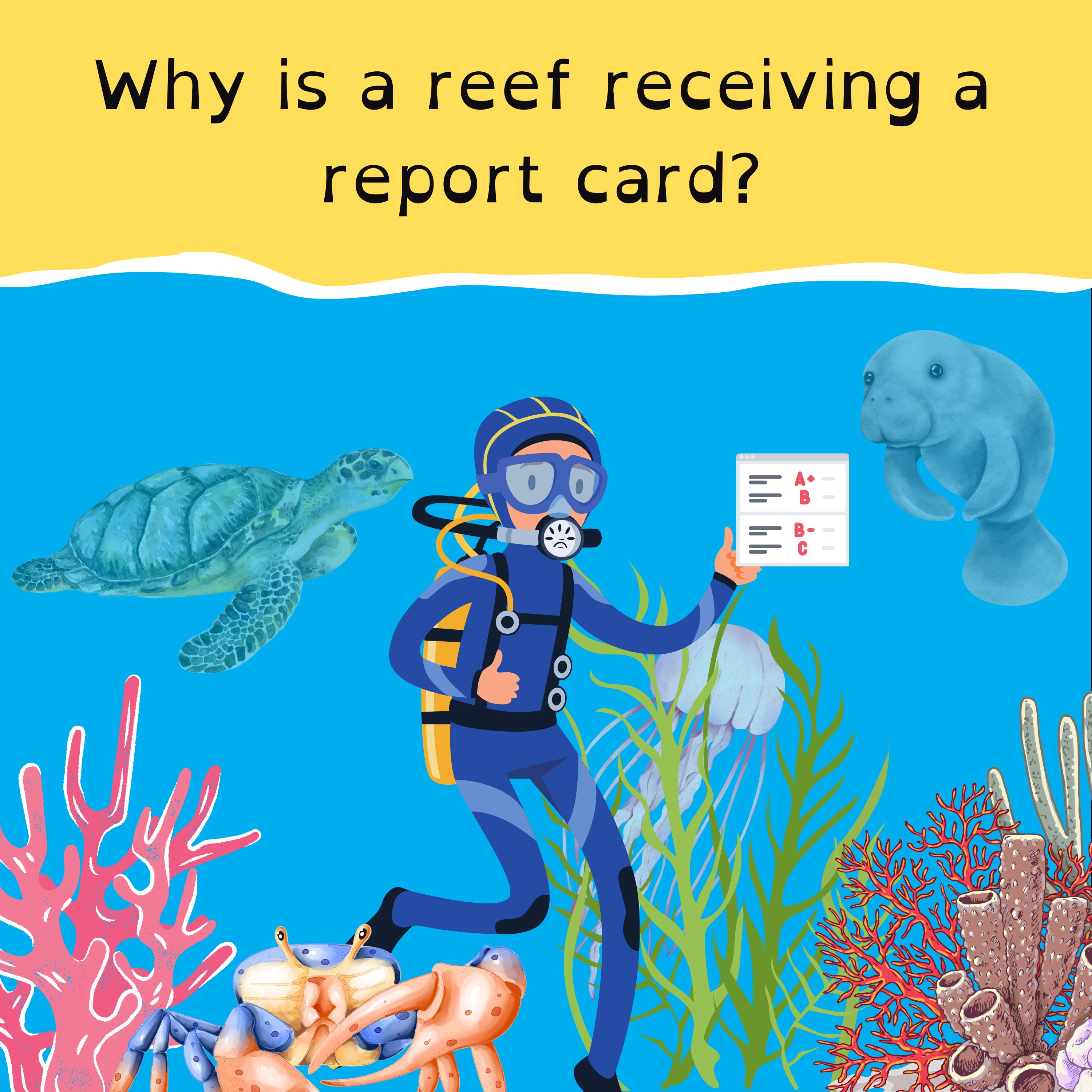 Australia receives reef report card; World’s ugliest dog crowned; a sauce to rule them all; and we’re warming up for Origin.