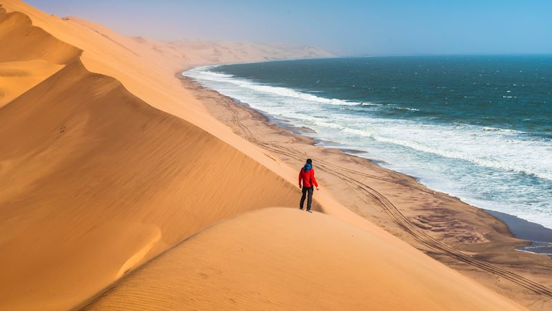 Namibia Safari: From the Sossusvlei Dunes to the Skeleton Coast