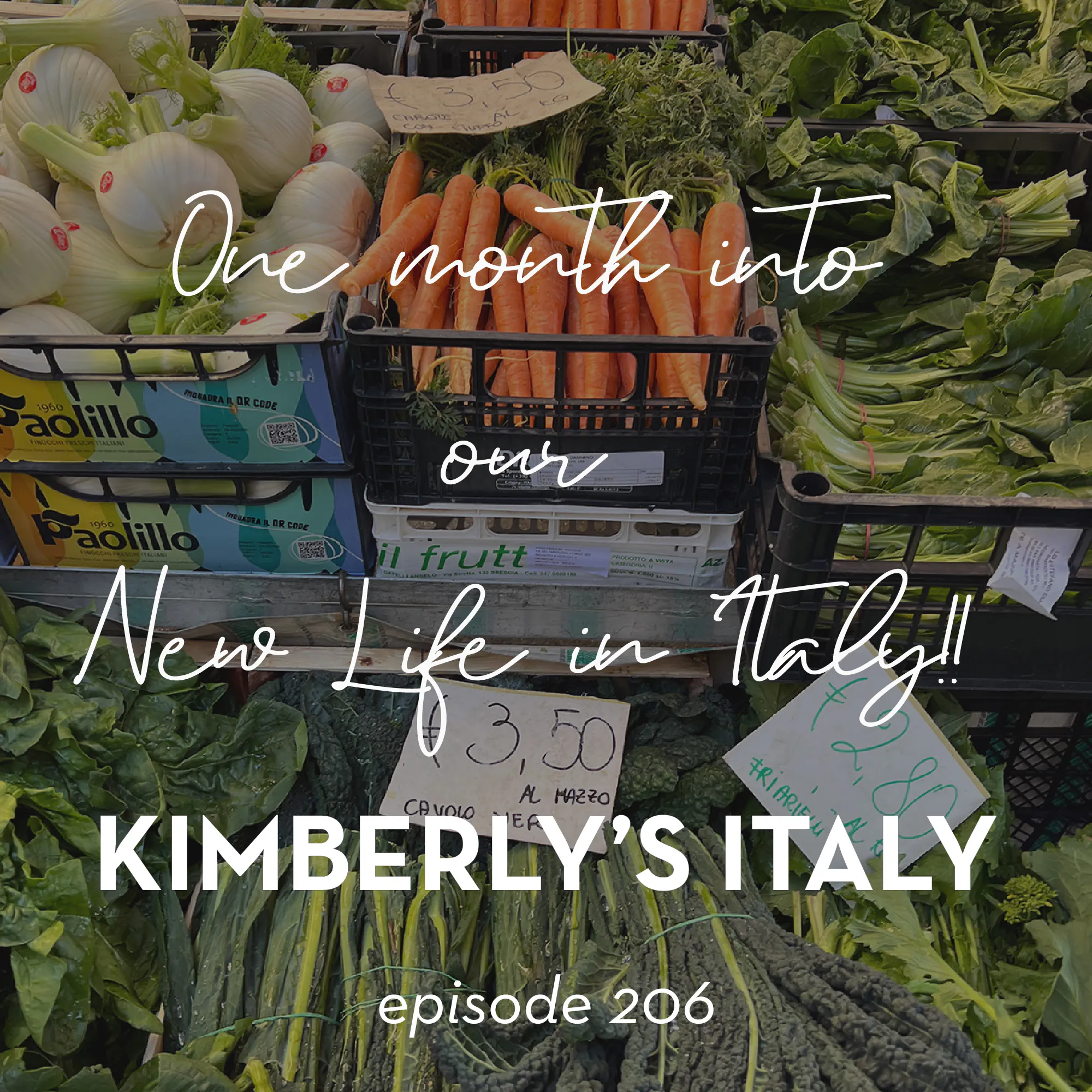 206. One month in to our new life in Italy! episode artwork