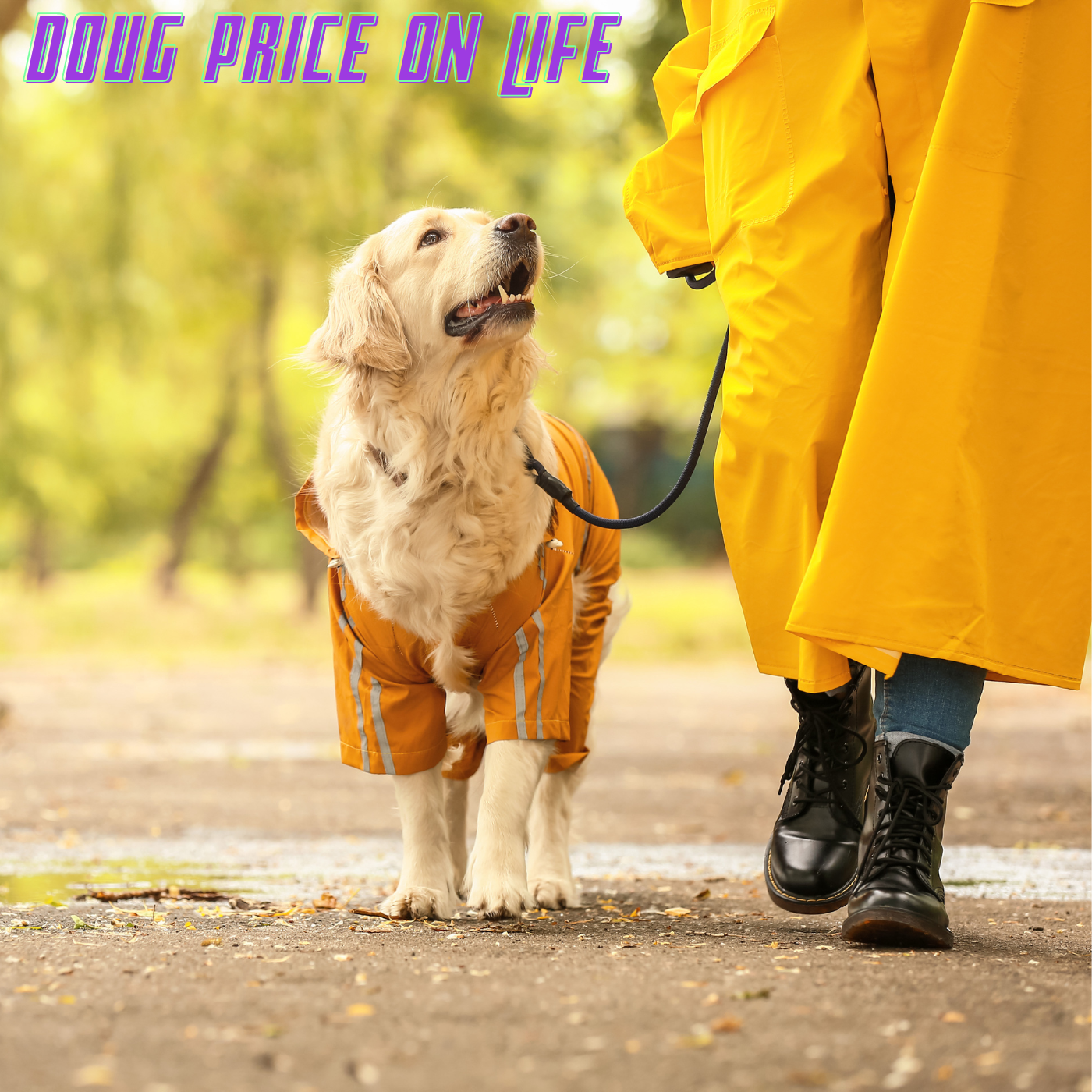 Autumn Falls Down: Adult Deficit Disorder episode artwork