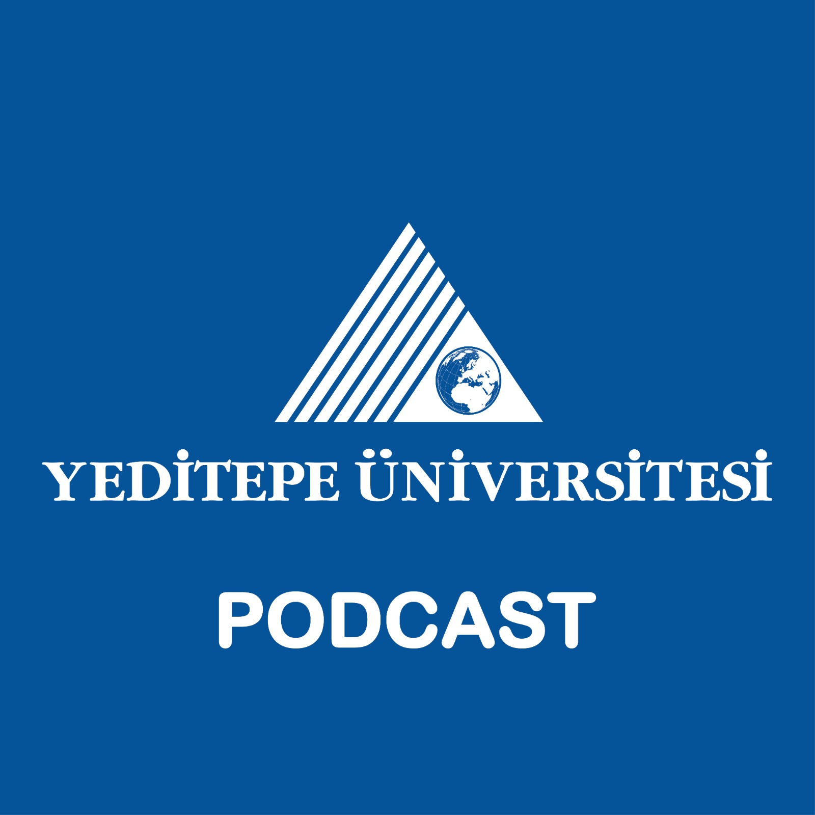 Atatürk İlkeleri ve İnkılap Tarihi Enstitüsü / Yeditepe Üniversitesi 