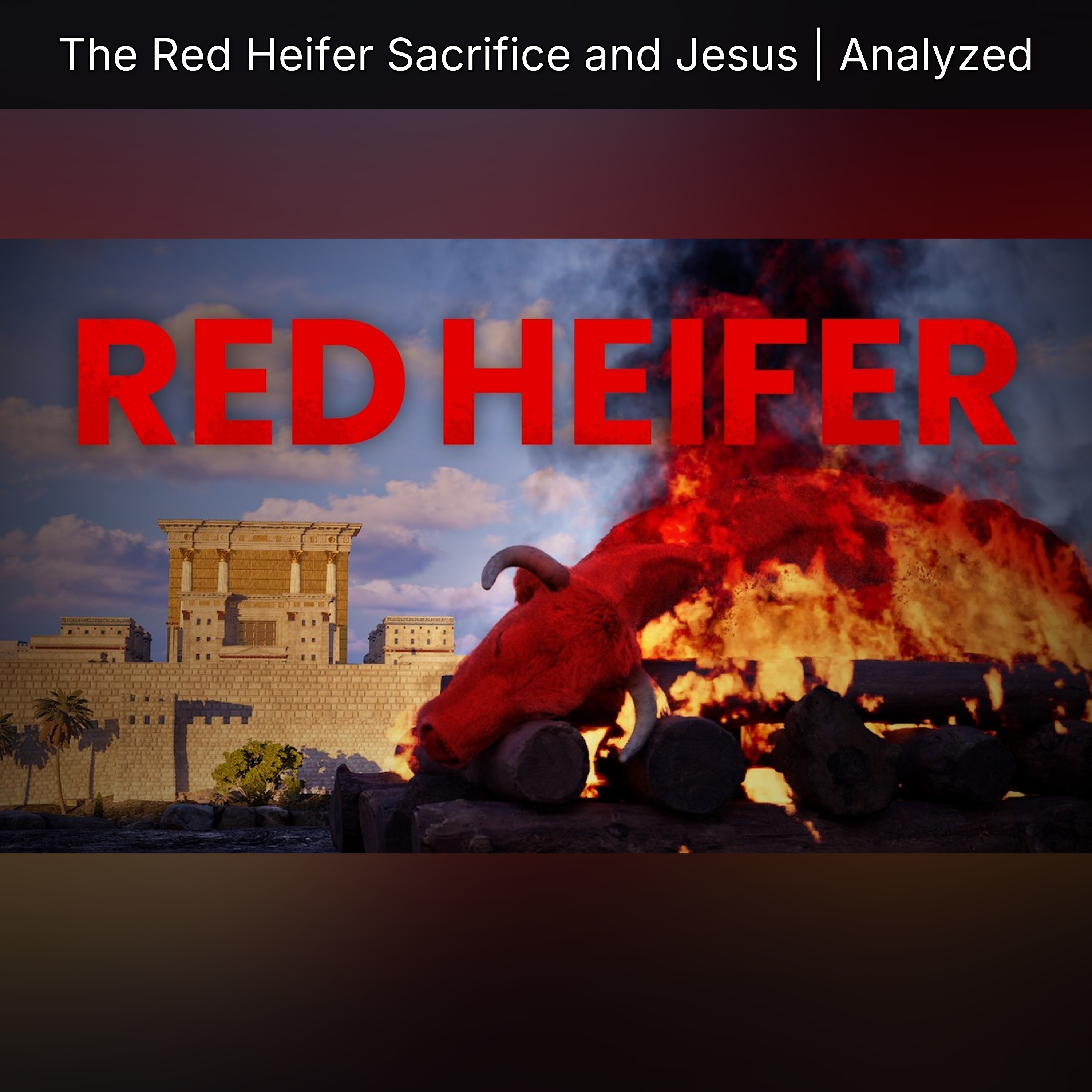 The Red Heifer Sacrifice and Jesus | Analyzed episode artwork