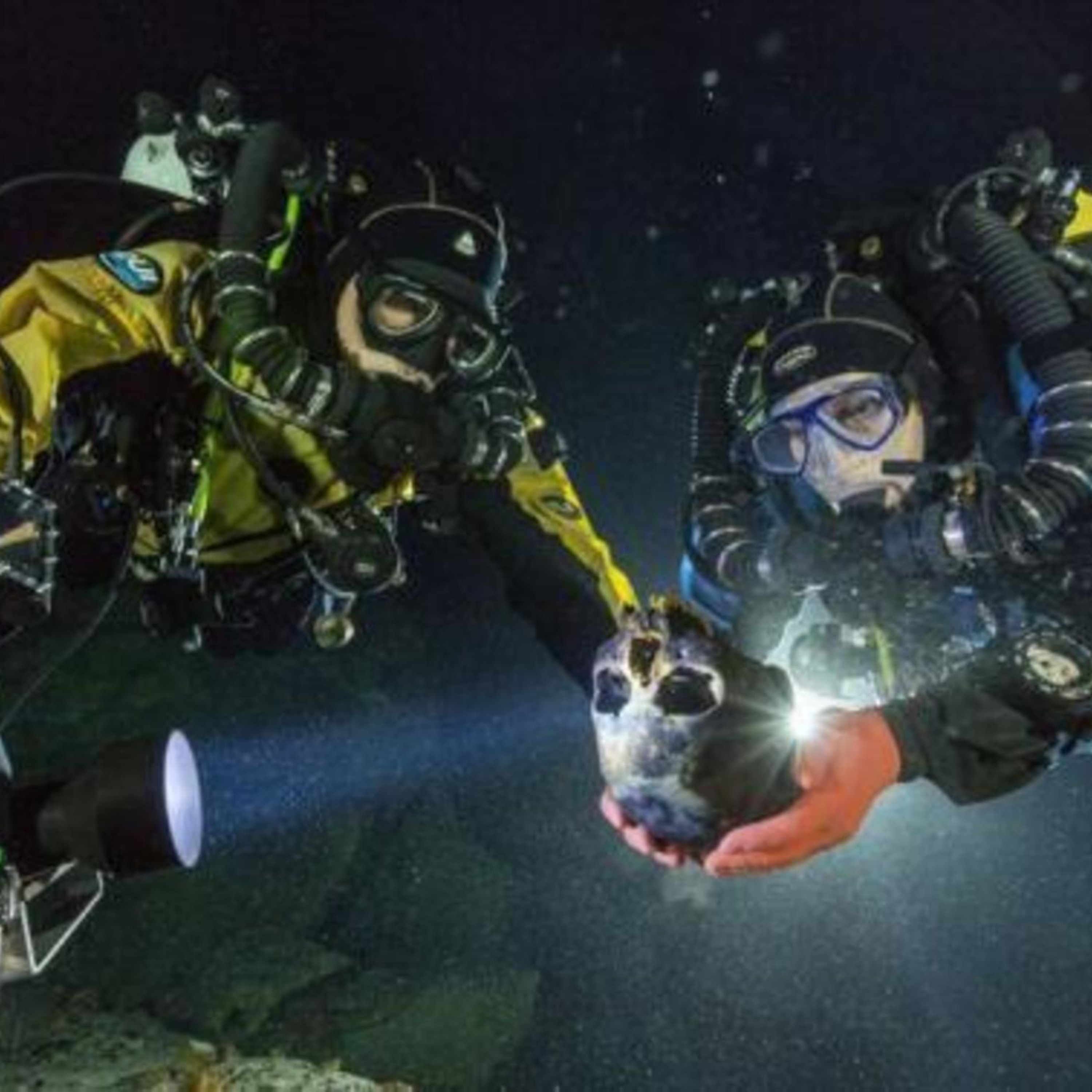 79 // Maura Murray - Part 70