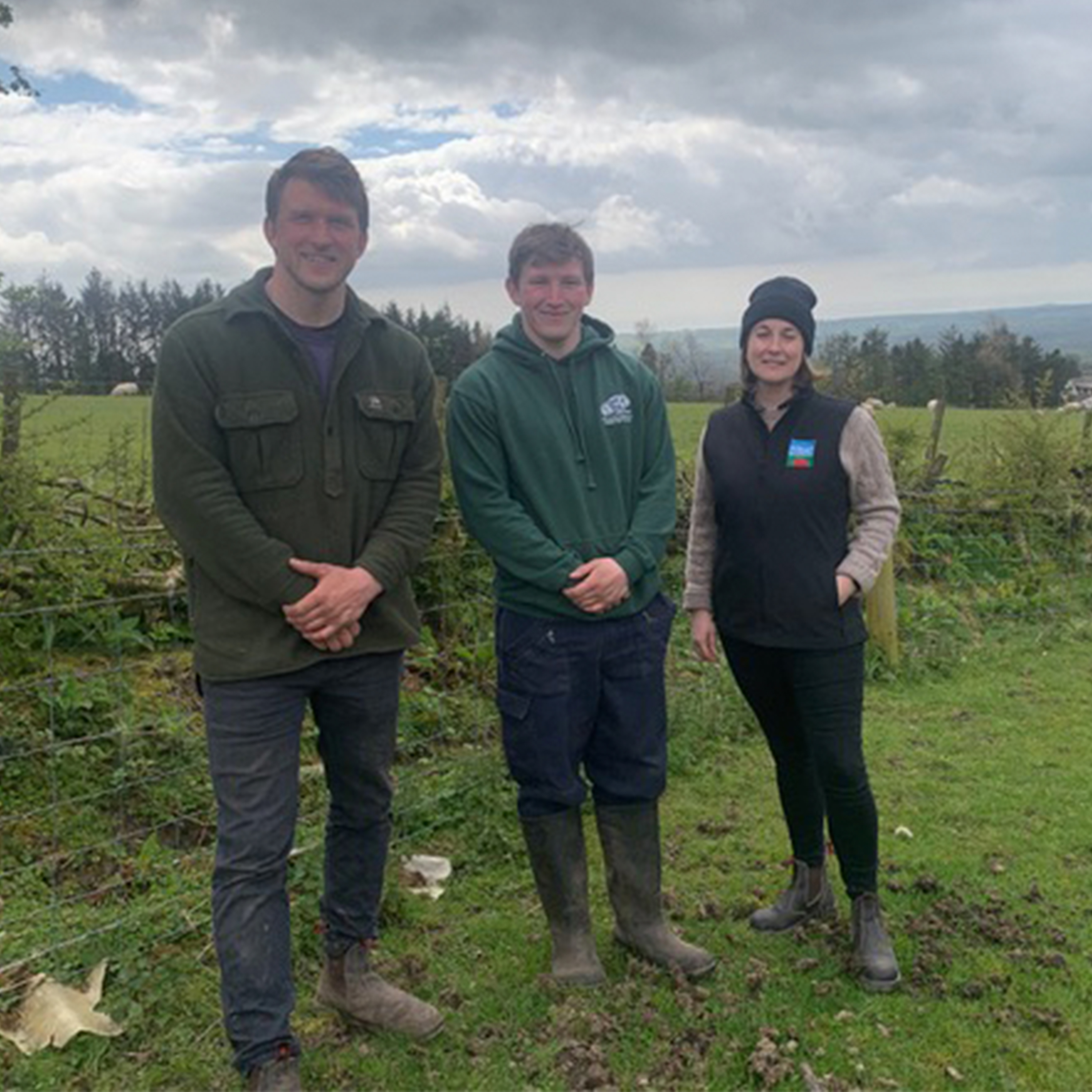 276. Explore an innovative Welsh farm where nature thrives alongside the livestock