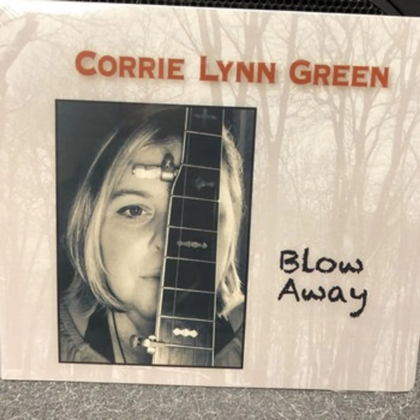 Corrie Lynn Green Interview Corrie Lynn Green Interview