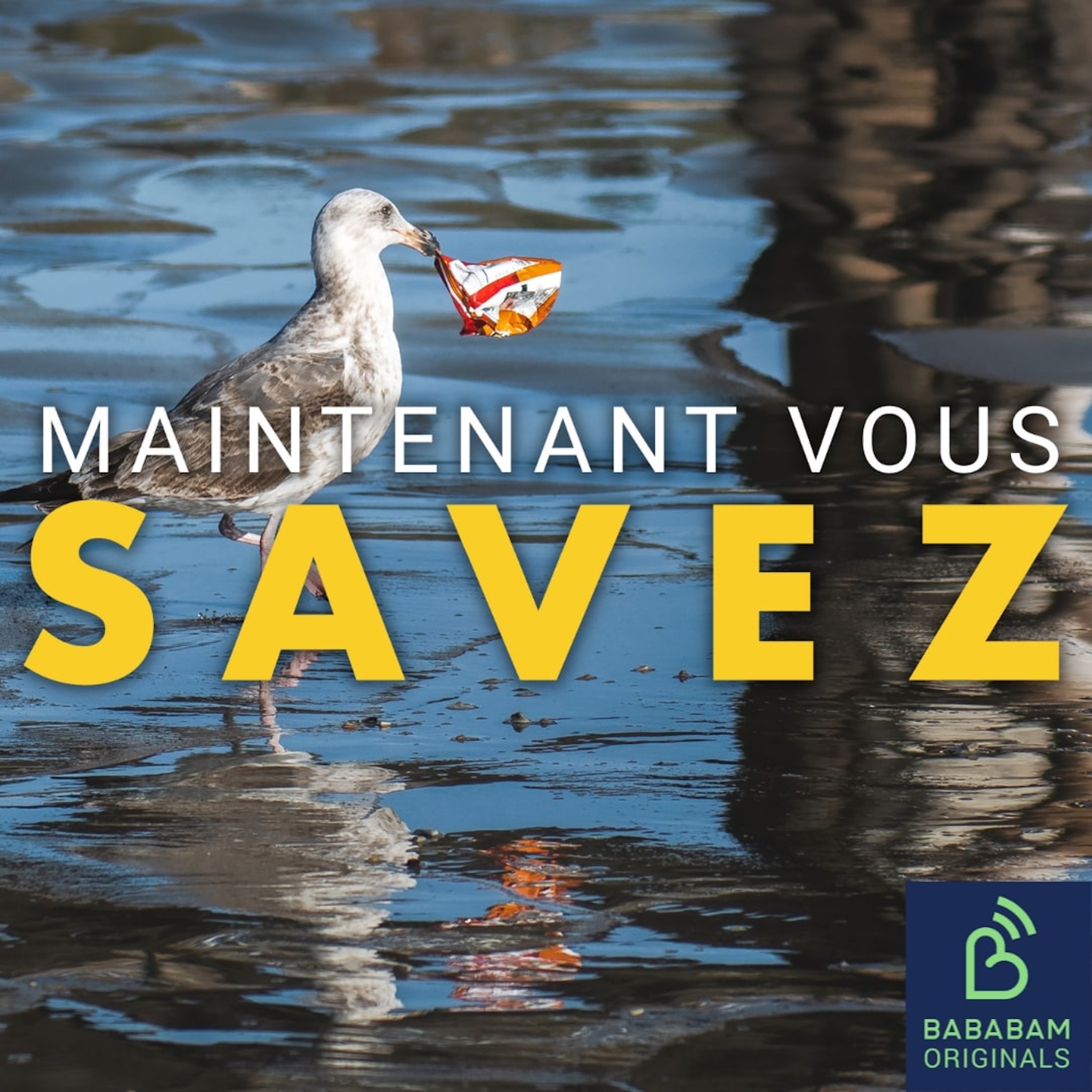 Qu’est-ce que le 7ème continent, ce désastre écologique ?