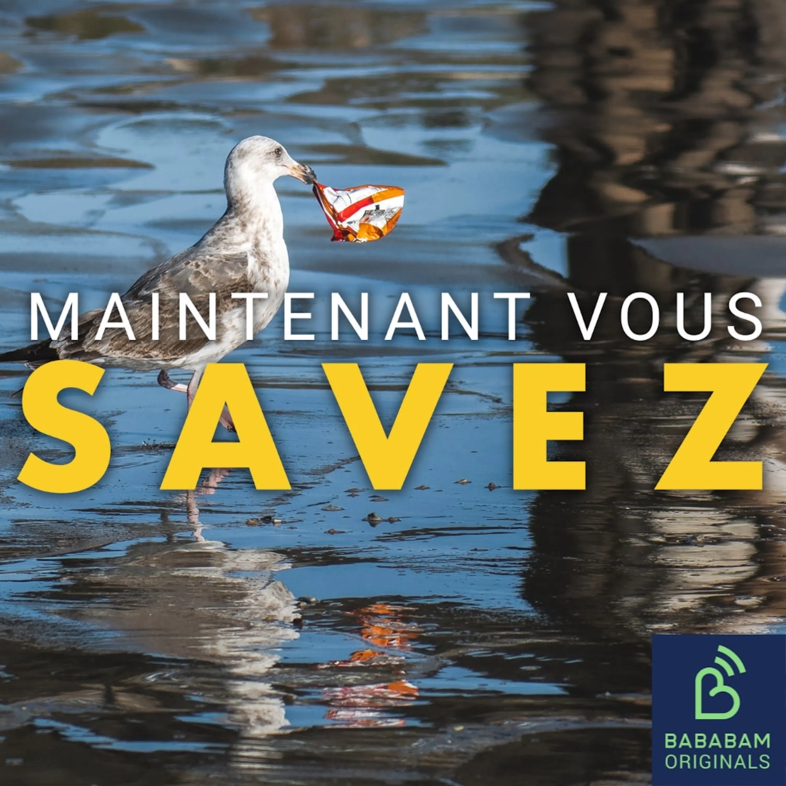 Qu’est-ce que le 7ème continent, ce désastre écologique ?