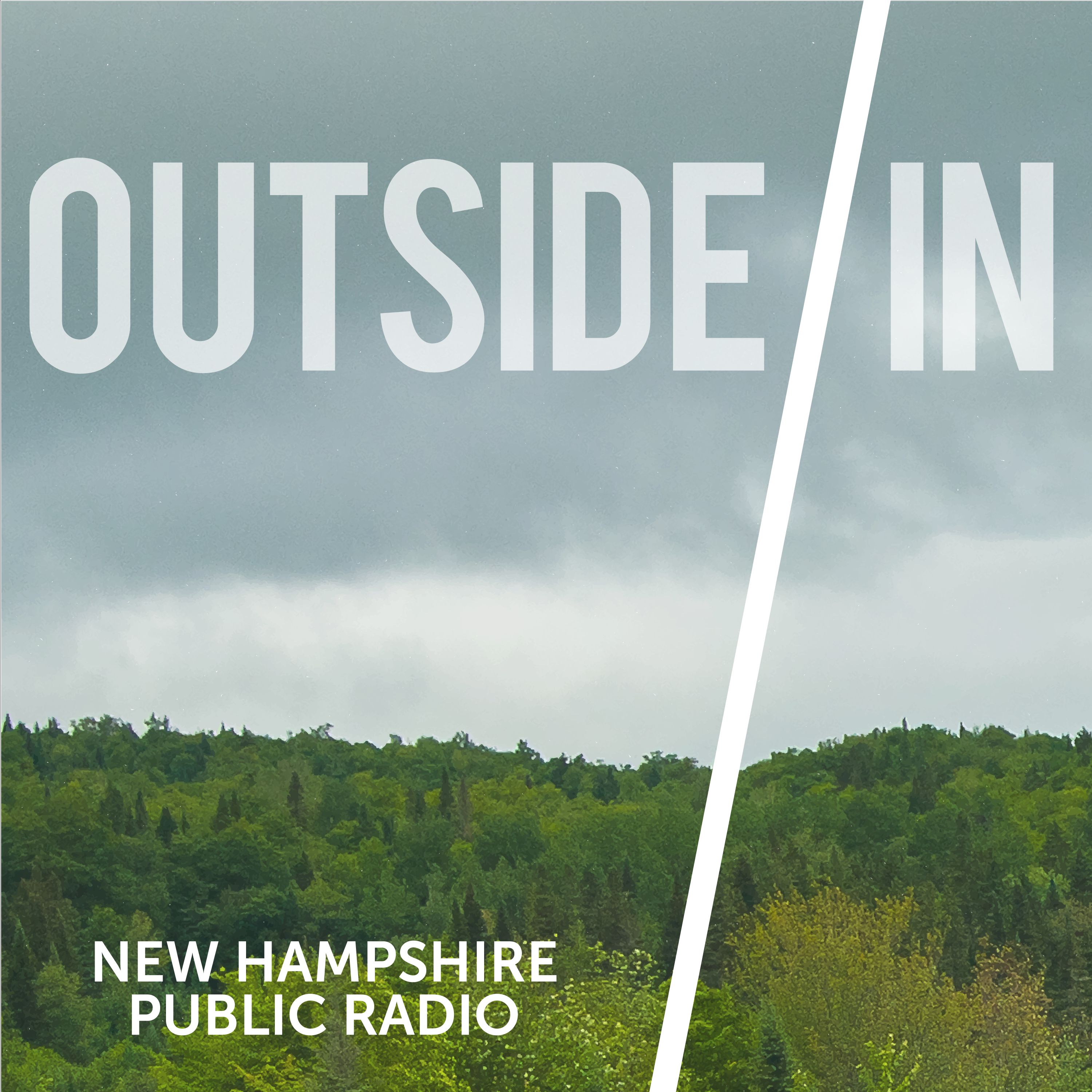 Outside/Inbox: The Ramen Wasp Murders & Other Mysteries