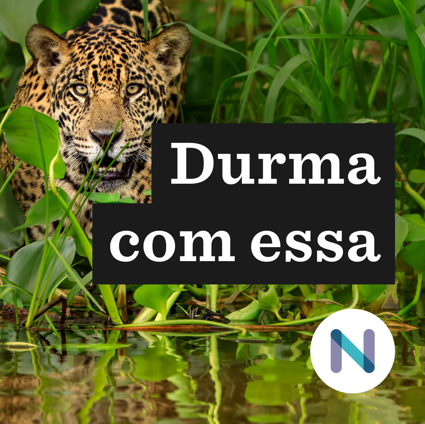 Durma com essa