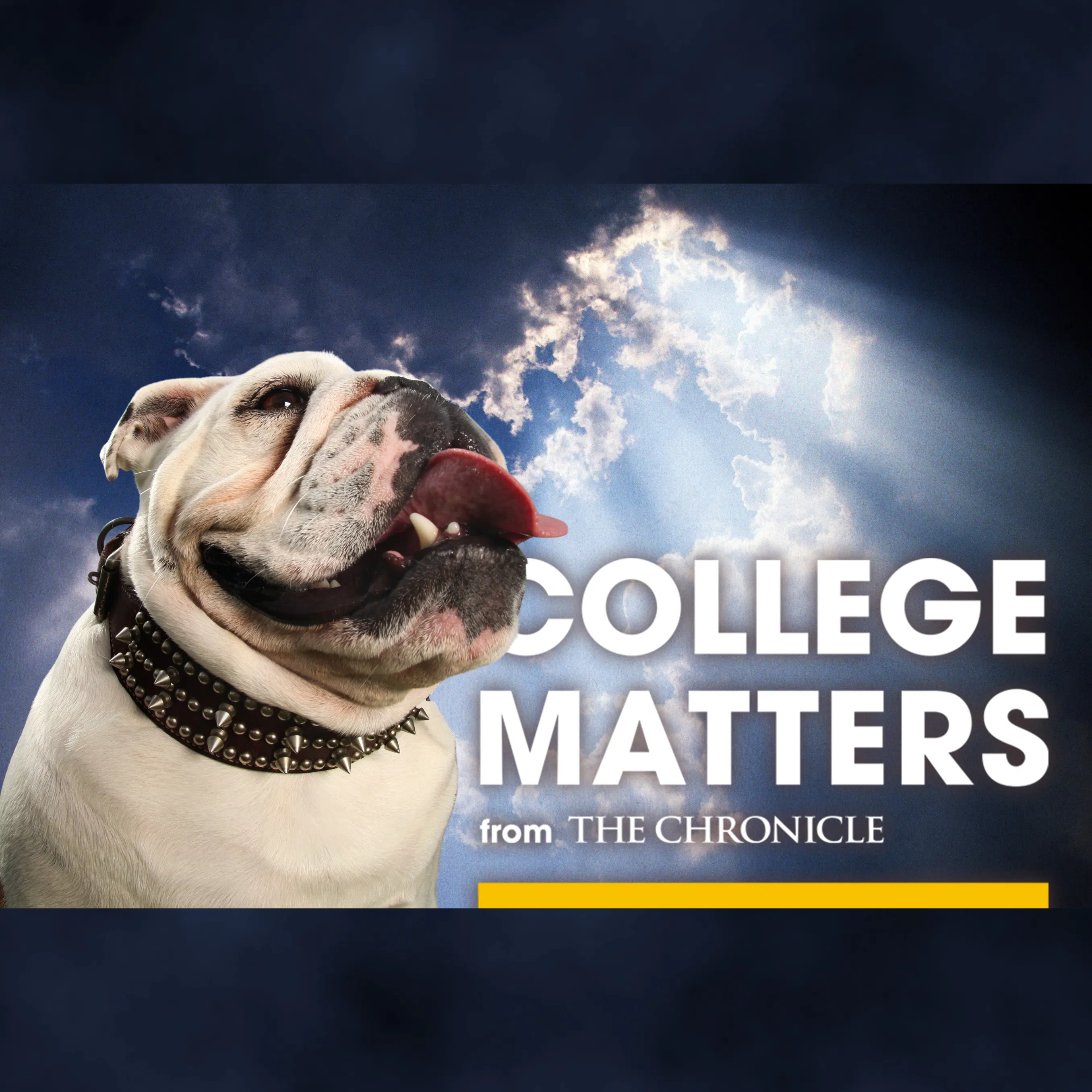 Course Catalog: Do Dogs Go to Heaven?