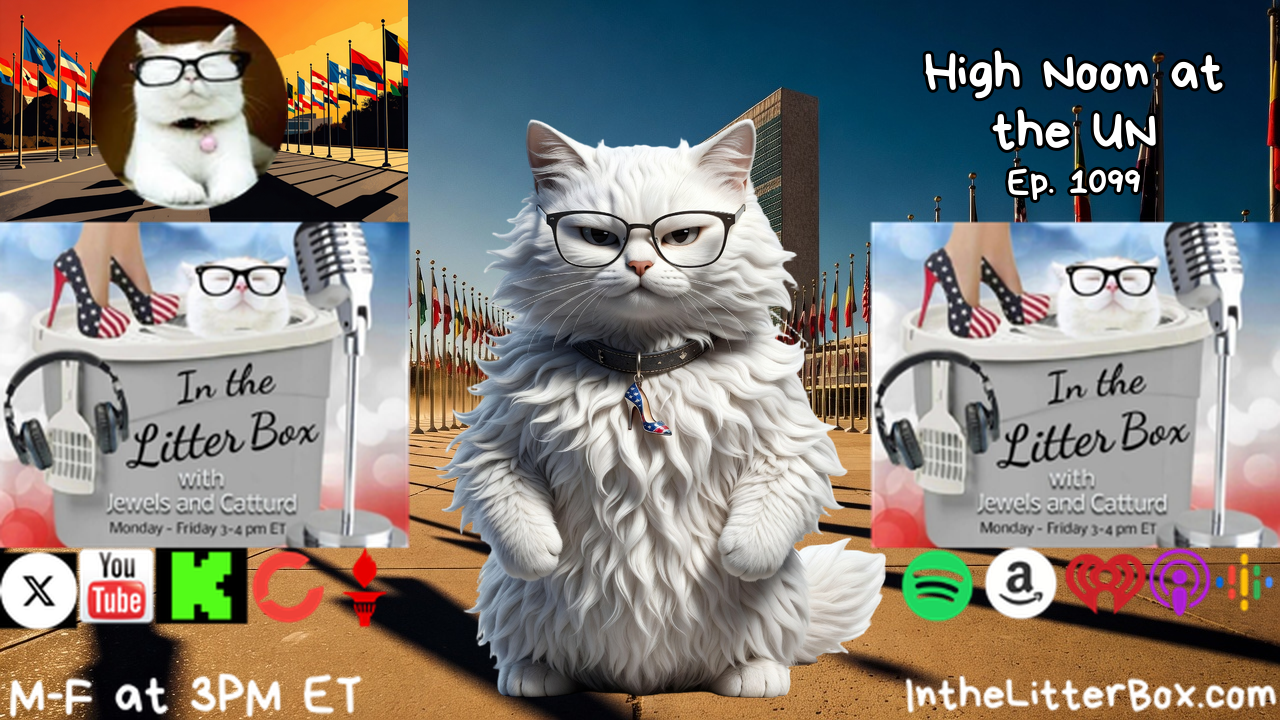 High Noon at the UN | In the Litter Box w/ Jewels & Catturd - Ep. 1099 - 9/22/2026